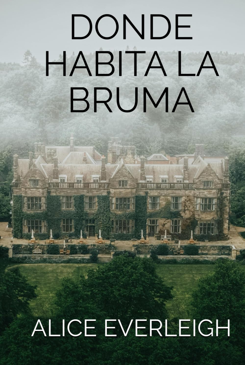 DONDE HABITA LA BRUMA