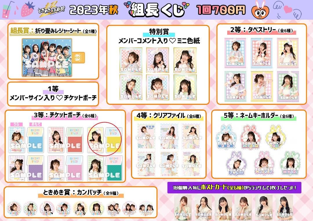 超ときめき宣伝部菅田愛貴タペストリー組長くじ