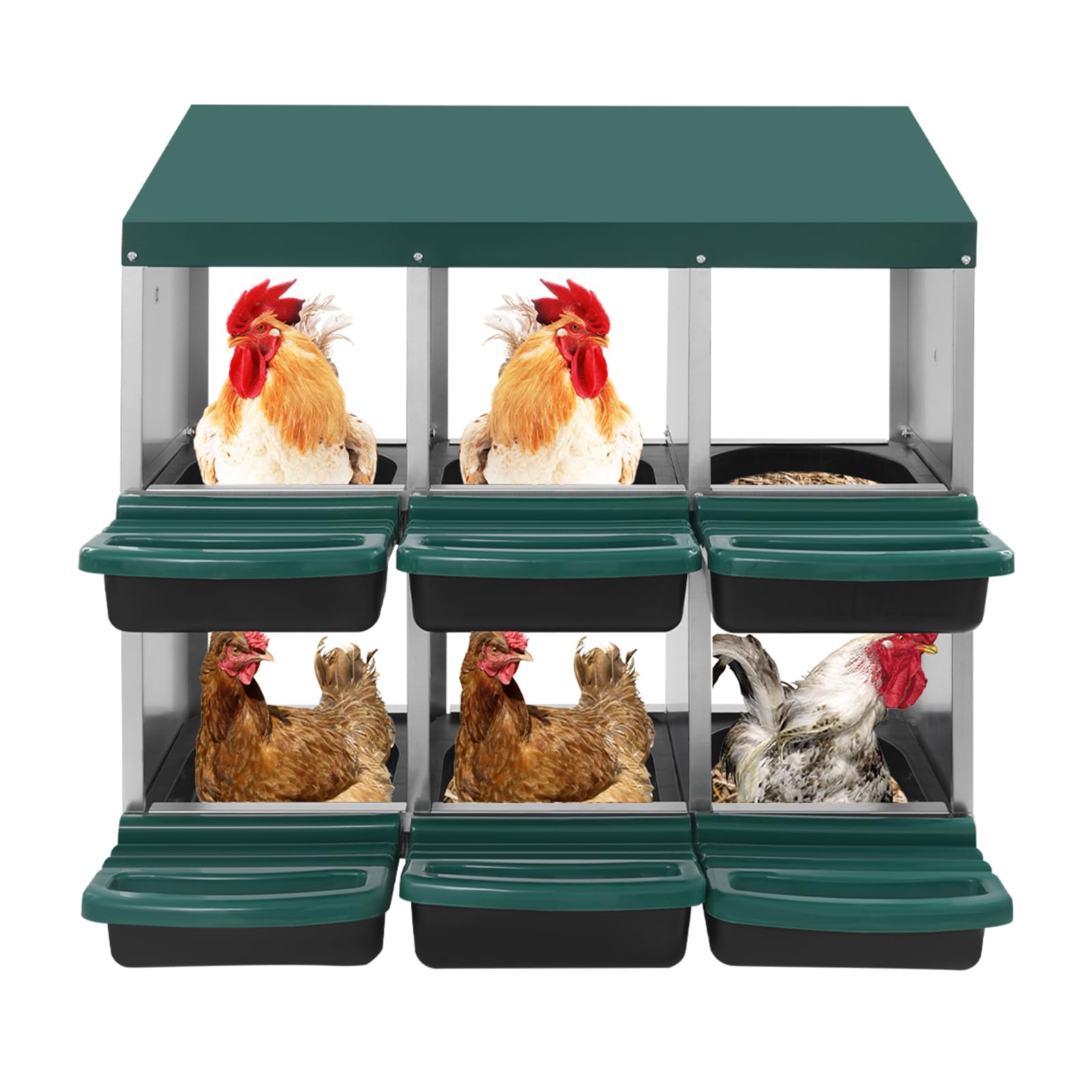 Nido per galline, 6 scomparti, in metallo, montaggio a parete, verde | Nido arrotolabile con fondo inclinato, lati ventilati e scomparto frontale per stalla, cortile e allevamento del pollame