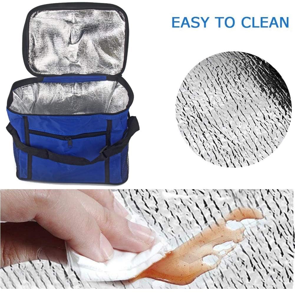 Borsa Isotermica da Pranzo Pieghevole per Picnic, Campeggio, Viaggio (Blu)