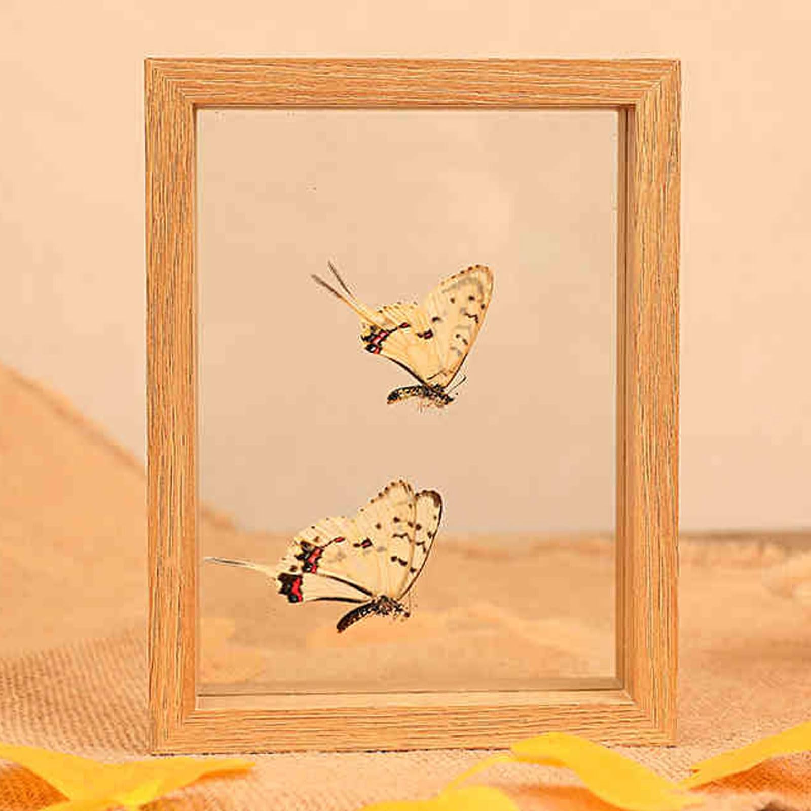 Marco de fotos, marco flotante vidrio doble cara, color nogal/madera, varios tamaños(Original Wood Color,Square 8 inches)