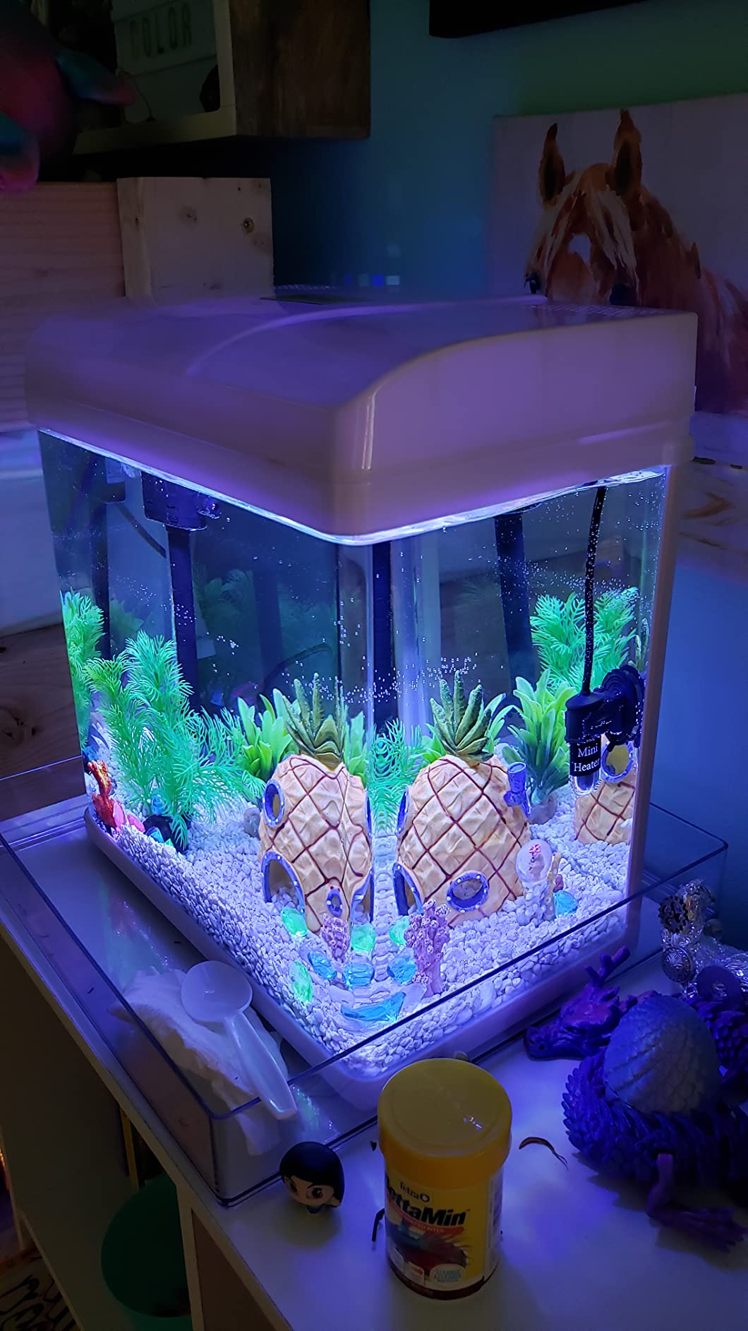 9/mo Finance PONDON Fish Tank, 3 Gallon Glass Aquarium with Air Pump