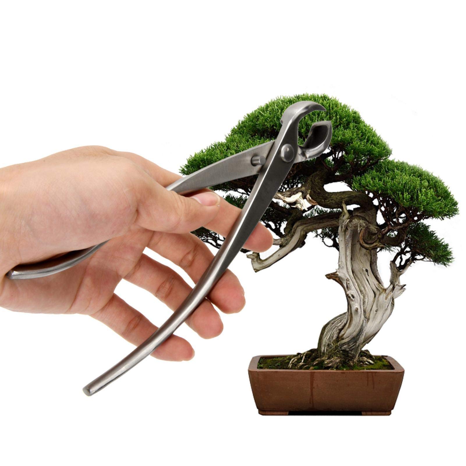 Taglierina per Rami, taglierina a manopola in Acciaio Inossidabile Taglierina per Bonsai Taglierina concava Strumento da Giardinaggio 210mm