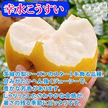 梨　幸水　25 呉羽梨2025【幸水】16玉／5kg（16玉×1段） | 呉羽梨の直売所