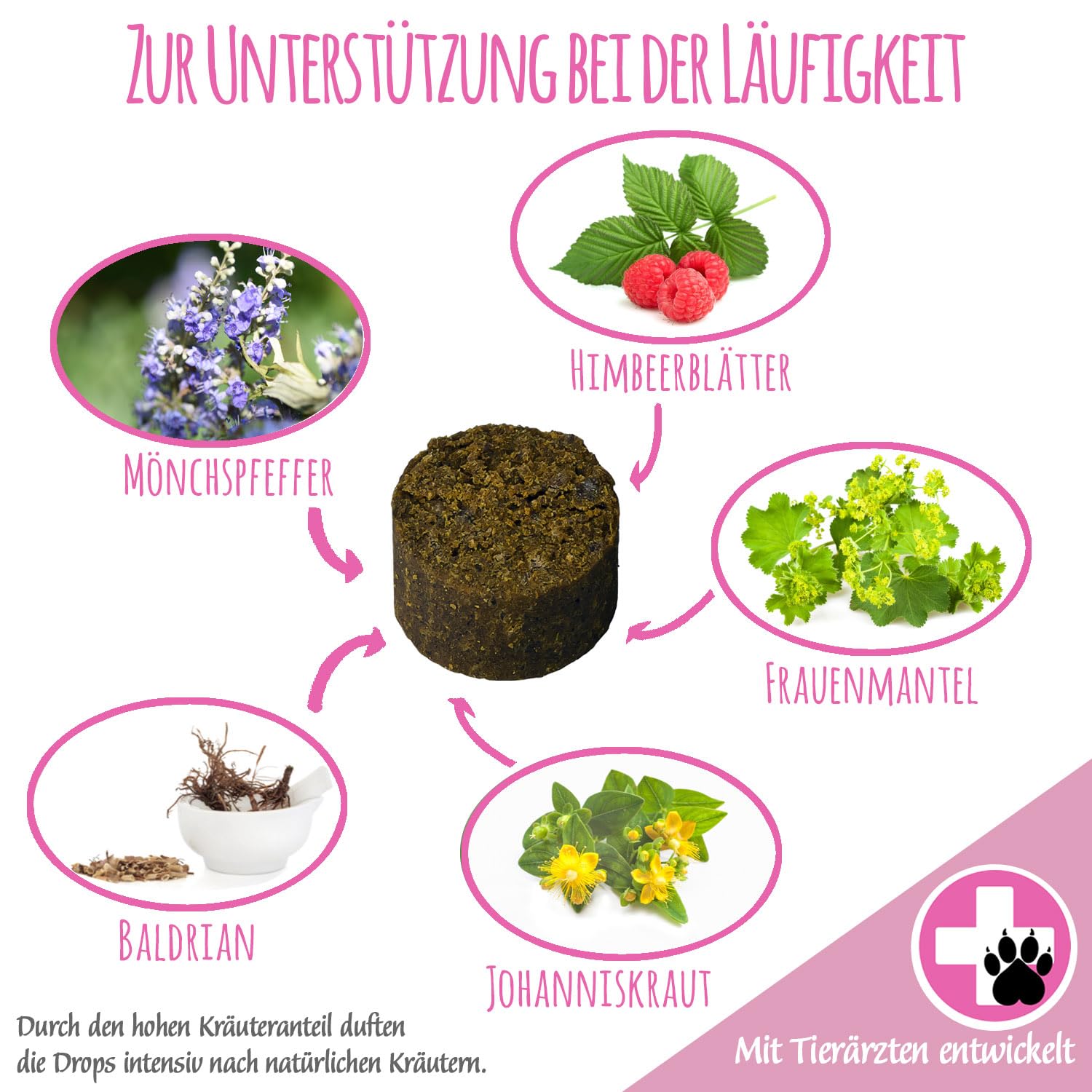 Läufigkeit Drops für Hunde I für den Hund im Zyklus I scheinschwanger scheinträchtig I mit Mönchspfeffer, Frauenmantel, Himbeerblätter, Baldrian (150g - ca.180 Stück)