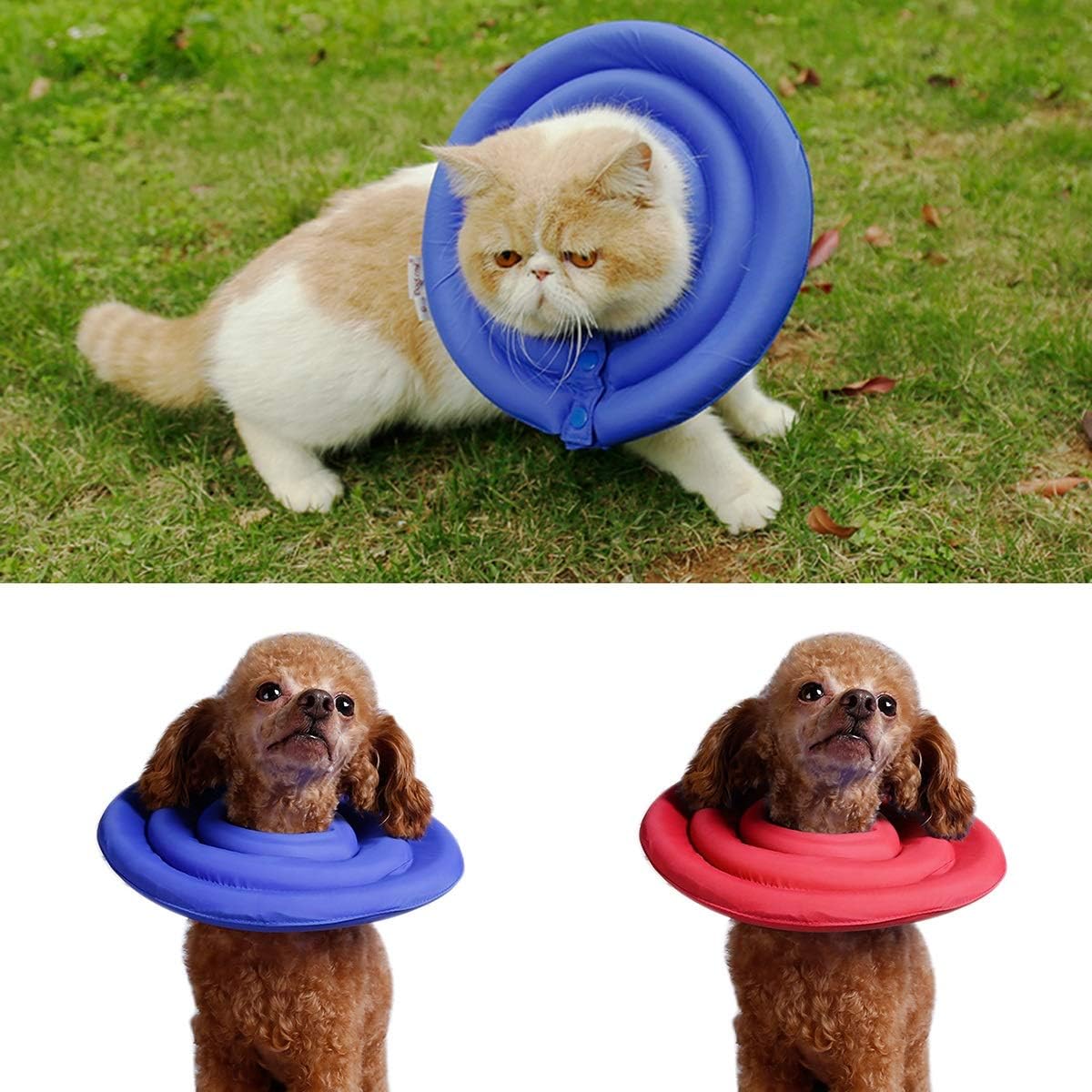 Dog Protection Soft & Lightweight Collar Adjustable Neckwear Anti-Bite Medical Recovery Protection Cone Prevent Bite XS-2XL (Color : Blue, Size : 2XL)