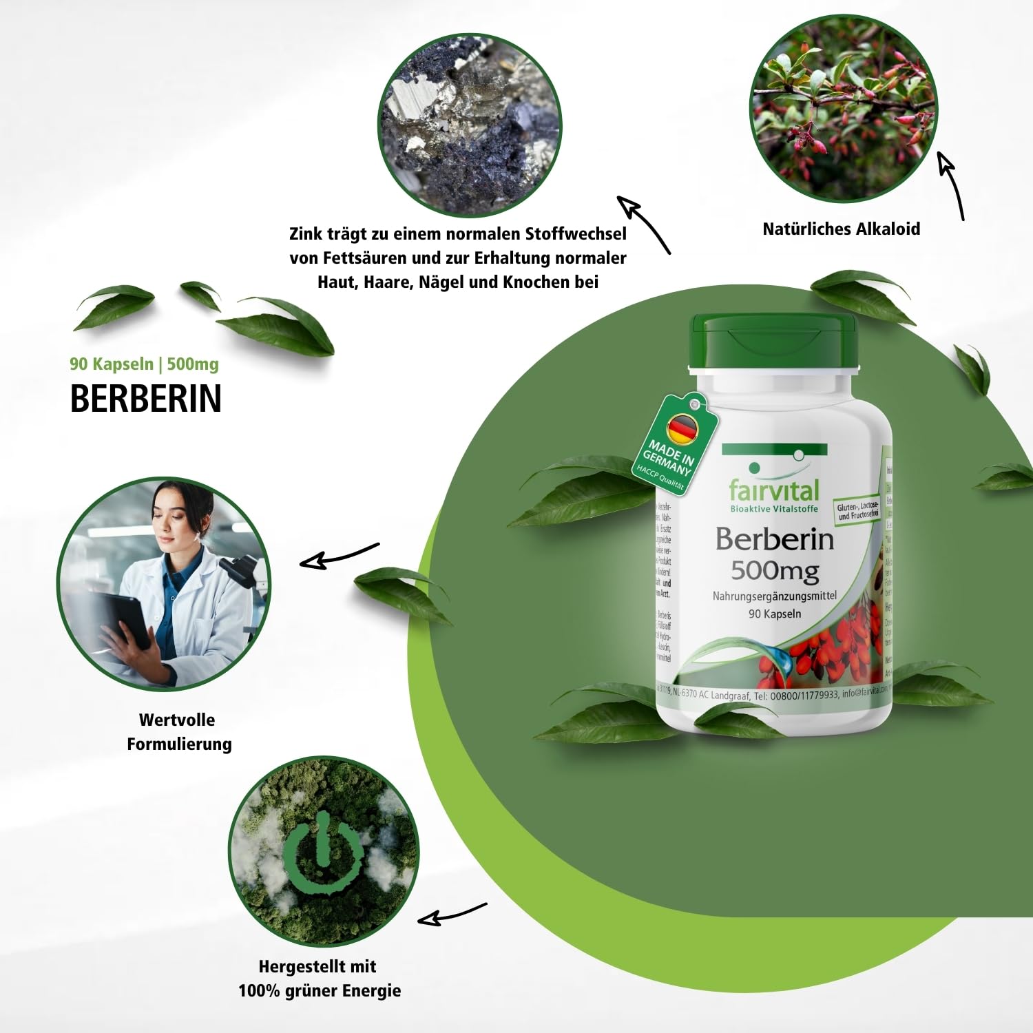 fairvital Berberin 500mg, HOCHDOSIERT, Berberin HCl + Zink, Berberis aristata, VEGAN, 90 Kapseln