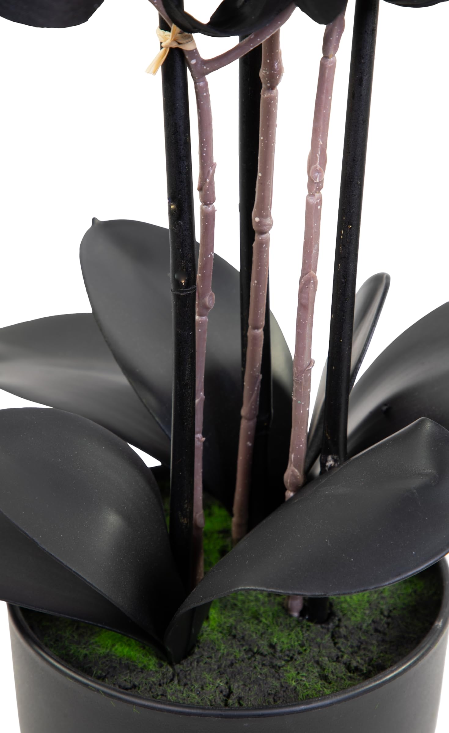 Seidenblumen Roß Orchidee Real Touch 70x40cm im Topf GA künstliche Phalaenopsis Blumen wie echt Dekoration Kunstpflanzen Kunstblumen (Schwarz)