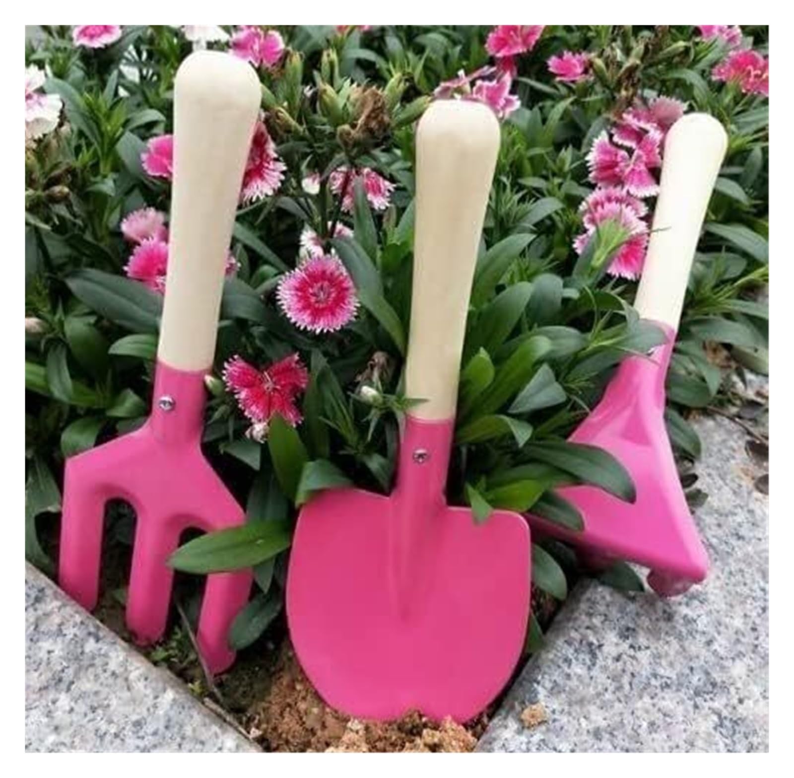 Attrezzi da giardino, pala, 3 pezzi, kit succulente per la cura delle piante, ideale come regalo per genitori e bambini