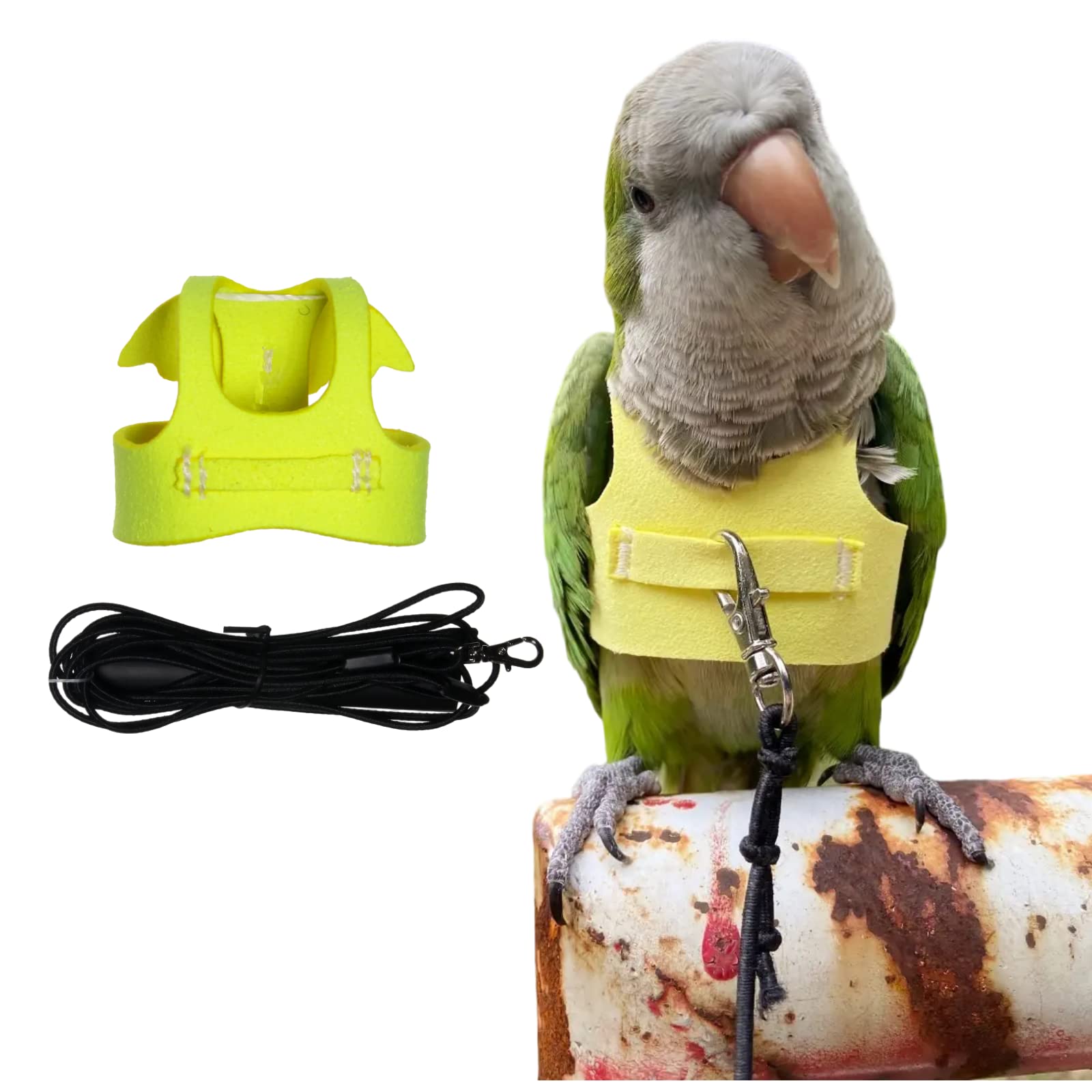 PARREN Bird Flight Harness Vest, Parrot Flight Suit With India