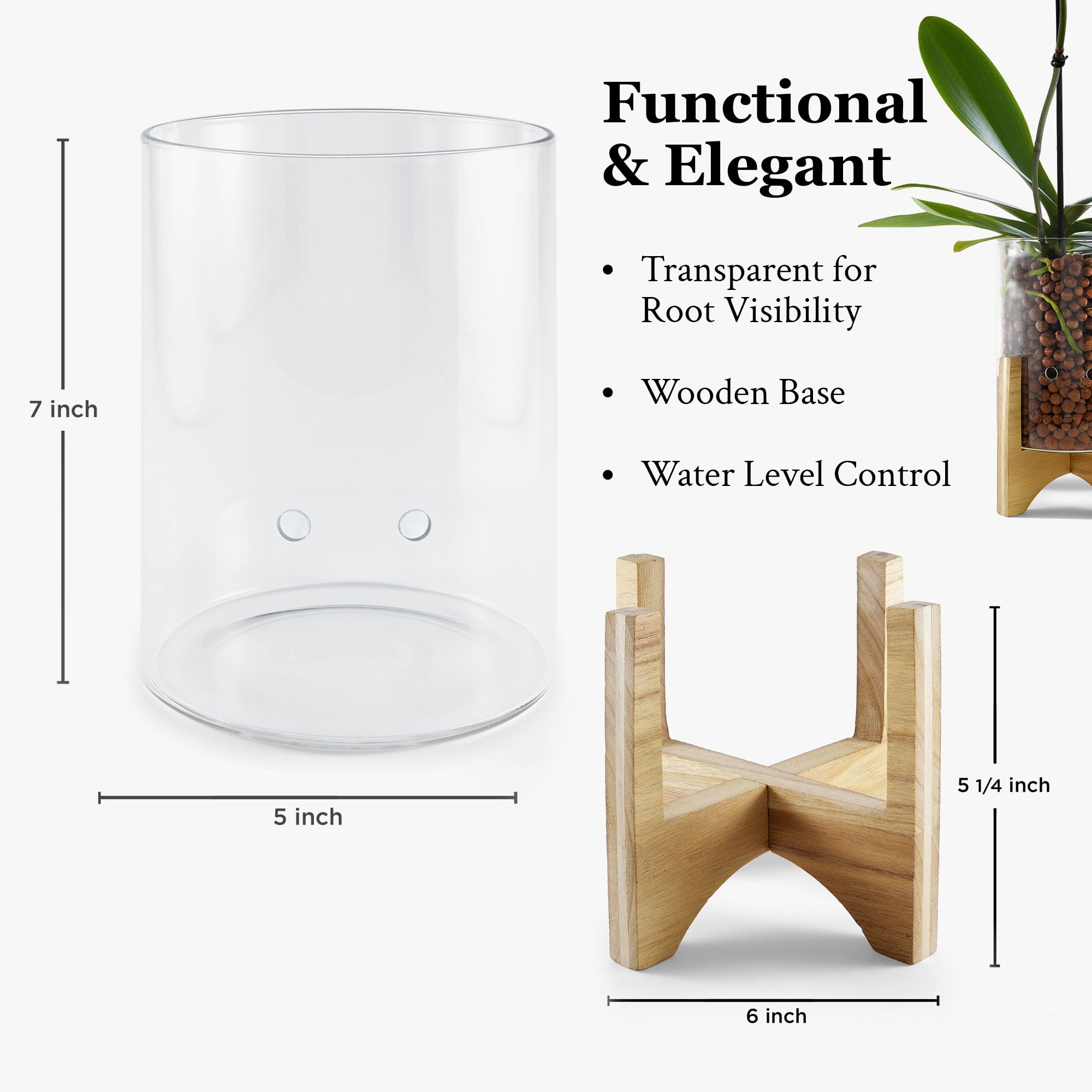 Pot & Pebble - Maceta de vidrio C6 con base de madera decorativa - Estación de propagación de plantas con control de nivel de agua - Soporte de corte de plantas para guijarros de arcilla LECA/medios