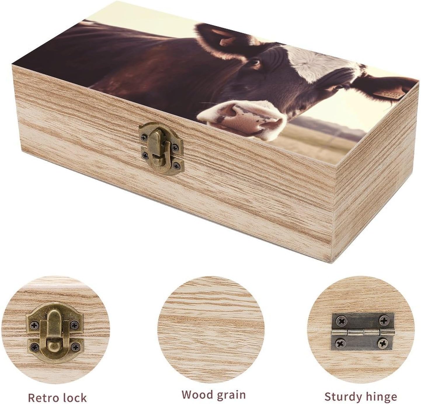 Vintage Wooden Storage Box with Front Clasp Keepsake Box with Lid image 3