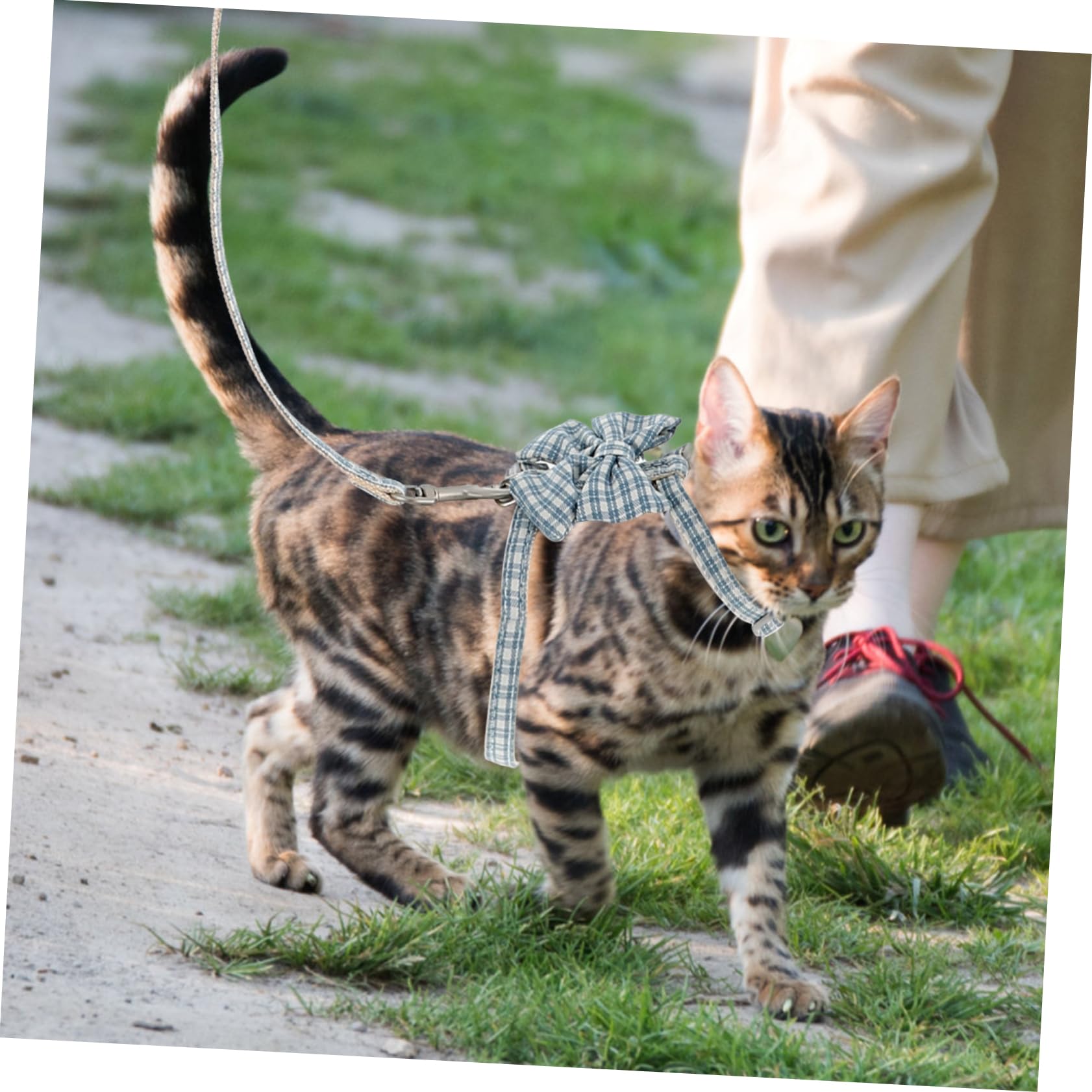 FOMIYES 4juegos Ajustable para Gato Arnés Antiescape Cuerda De Control para Pequeñas Diseño Ergonómico y Resistente para Paseos y Entrenamientos
