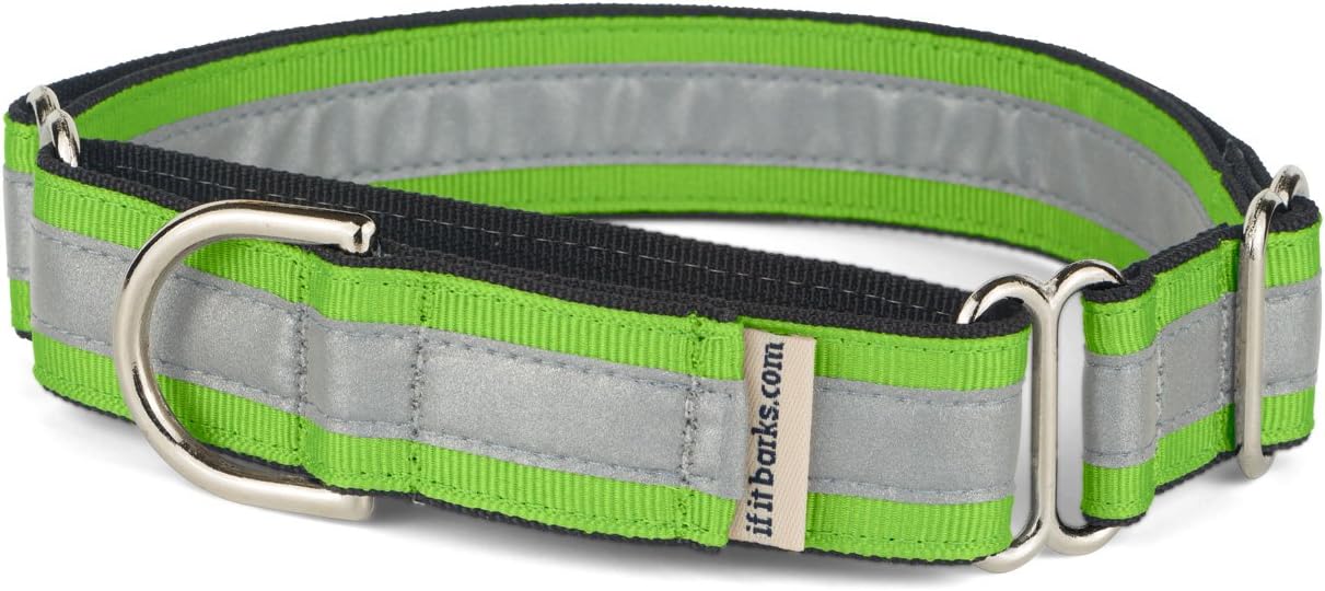 If It Barks 1" Reflective Martingale Collar with Quick Snap Buckle for Dogs, Adjustable, Made in USA,Large, Turquoise
