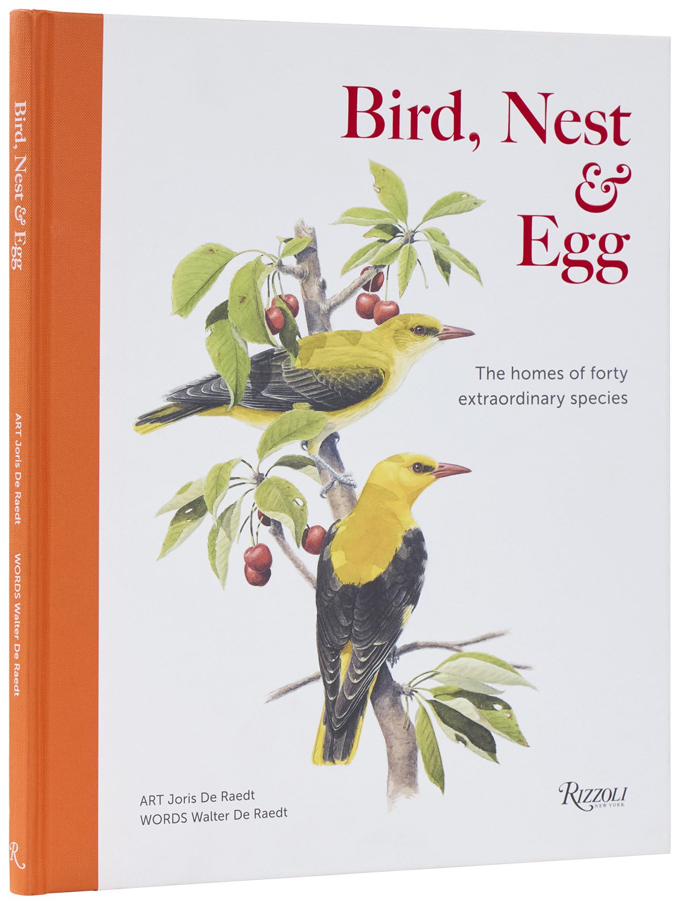 Bird, Nest & Egg: The Homes of Forty Extraordinary Species: Amazon