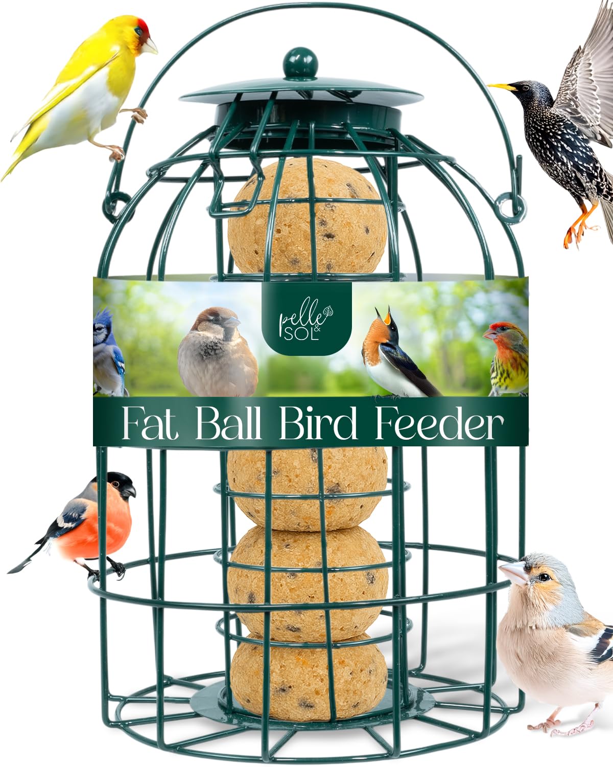 Pelle & Sol Vogelfutterstation - Talg- und Fettkugel-Futterspender für Wildvögel - Kompaktes Eisendesign für hängende Futterstationen - Wetterbeständig, Eichhörnchensicher, leicht zu reinigen, überall