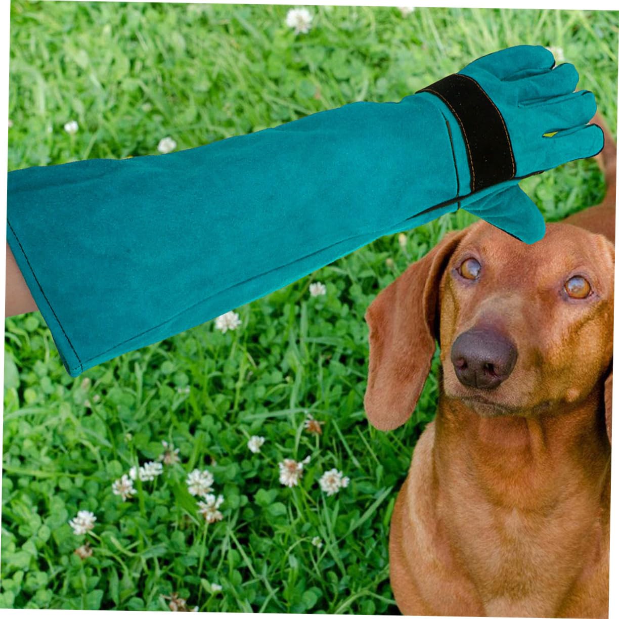 Guantes Antimordeduras para Gatos y Perros, Piel Sintética, Manga Larga
