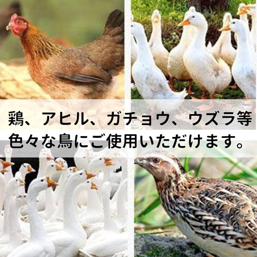 Amazon | VIVIJOIE ニワトリ用 水飲み器 鶏 水飲みタンク 鳥 水