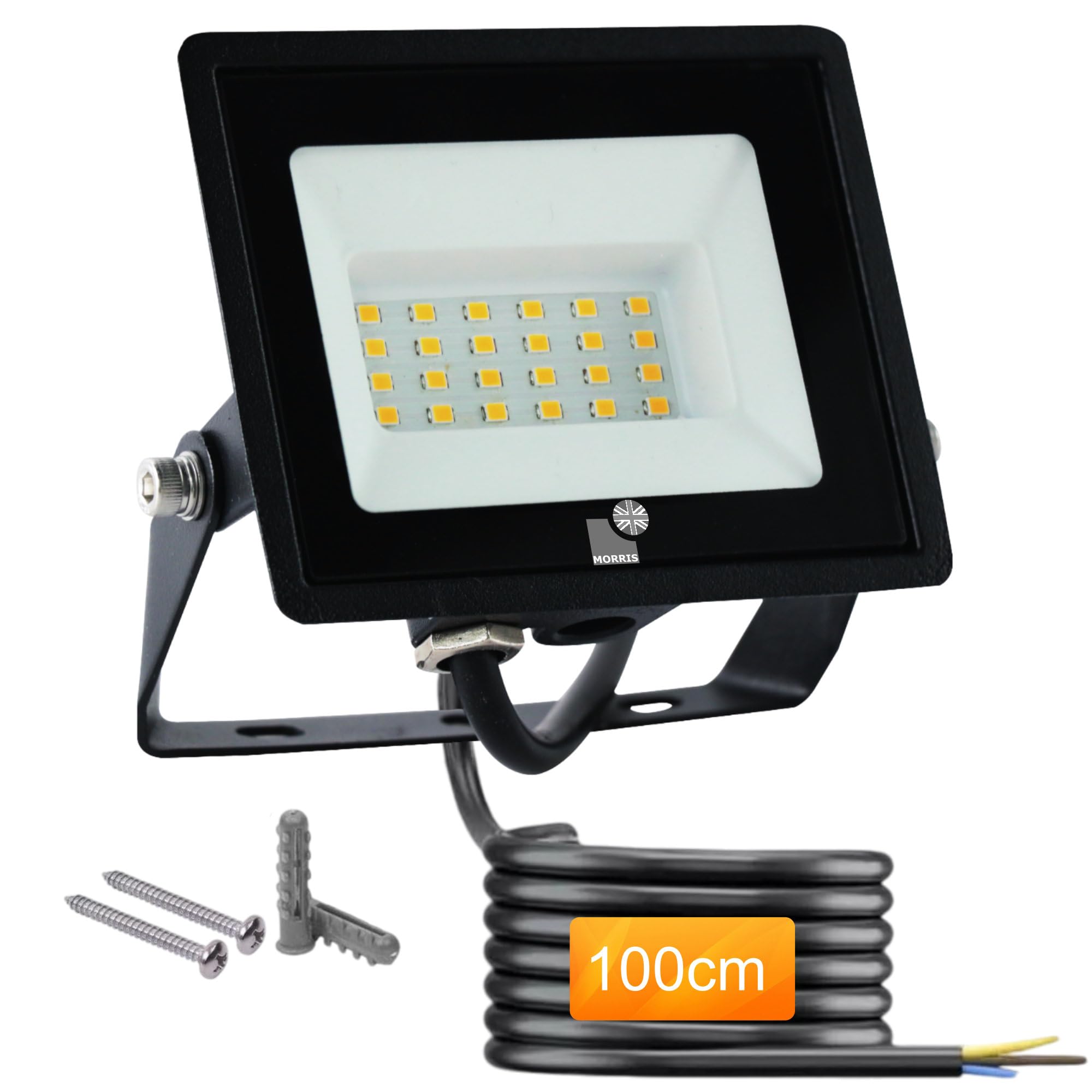 Morris Outdoor Security Light 30w LED Floodlight 6500k