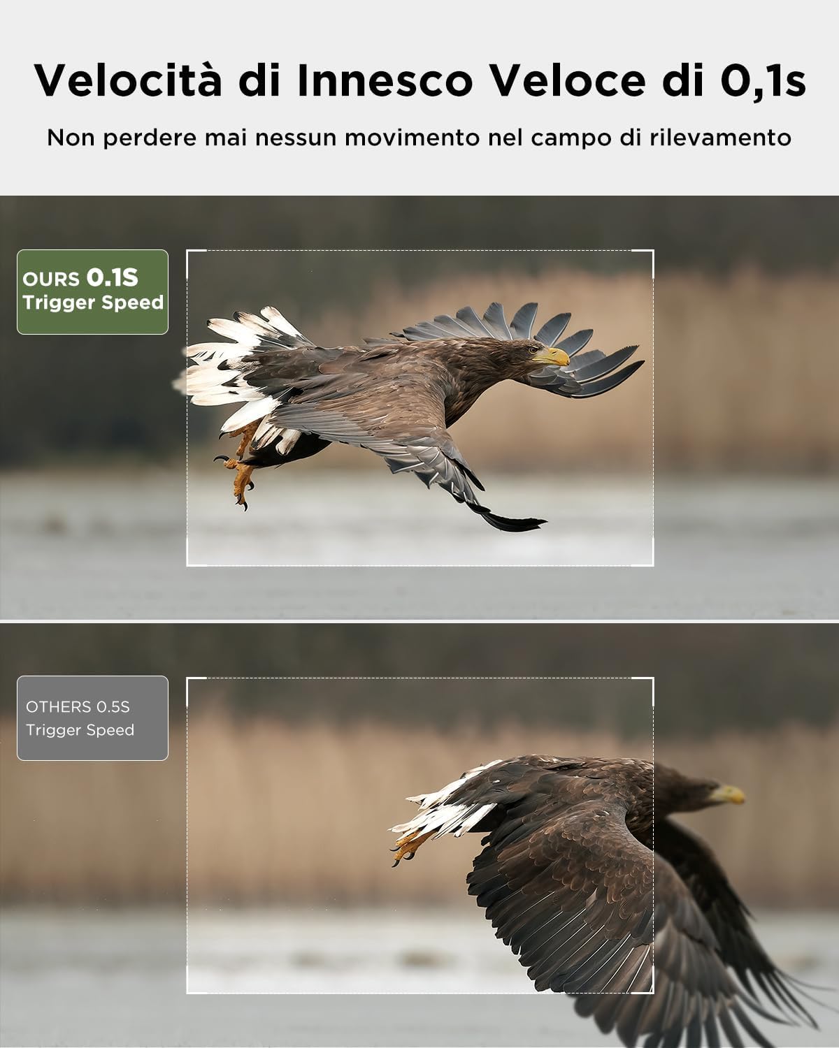 CEYOMUR Fototrappola Solare 68MP 4K 30fps, Wifi Bluetooth Fototrappola con Batteria Ricaricabile da 5200mAh Angolo di Rilevamento 120° HD Visione Notturna Impermeabile IP66