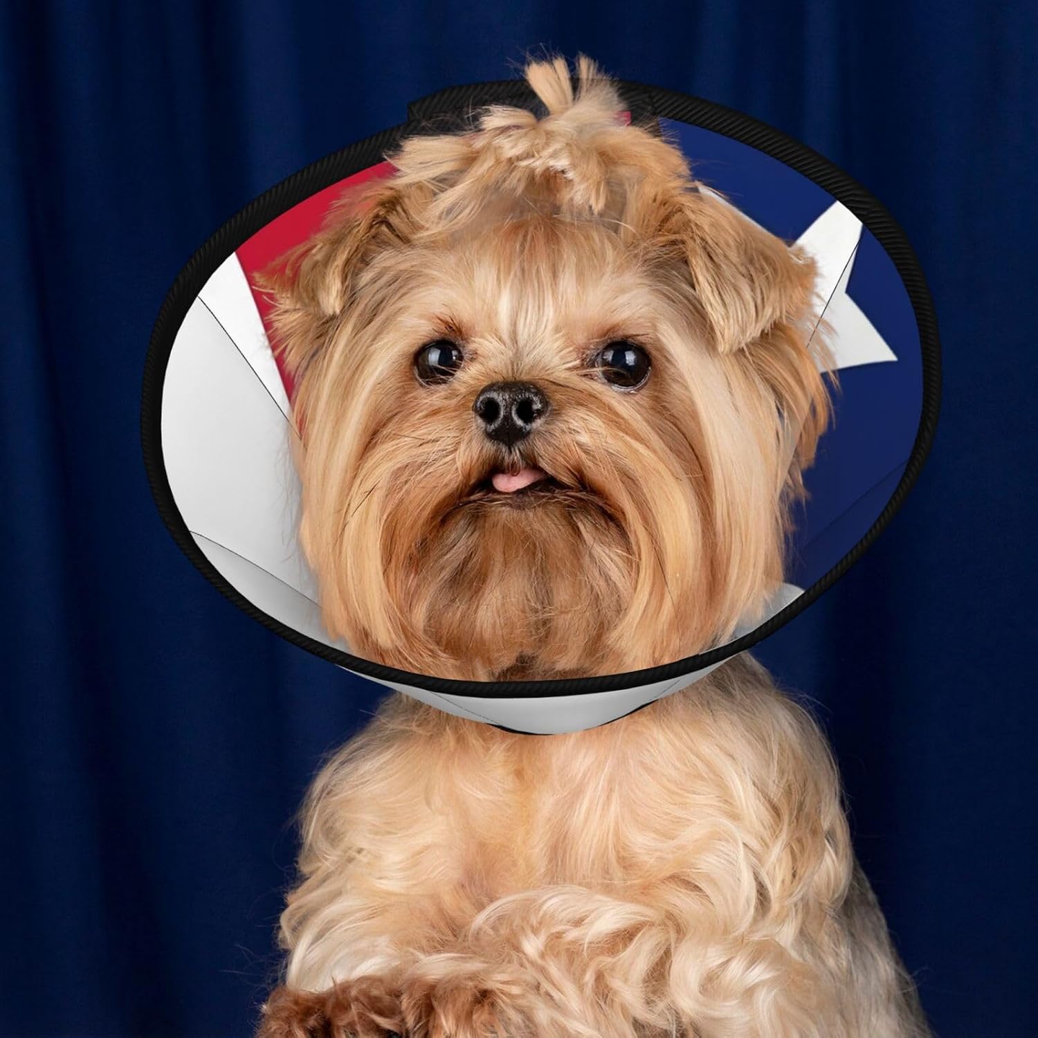 Texas State Flag Print Cat Cone Collar, Adjustable Elizabethan Collar, Soft Dog Recovery Collars, for Small Large Cats