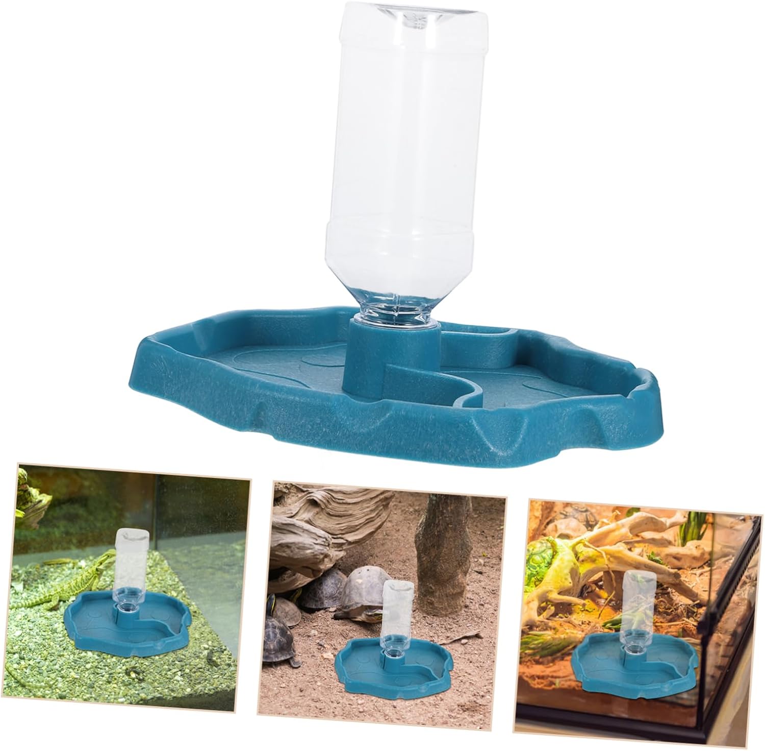 Automatic Reptile Feeder for Turtle Bowl Rabbit Watering System Snail Bowl Reptile Feeding Box