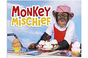 2024 Looney Tunes Character Calendar