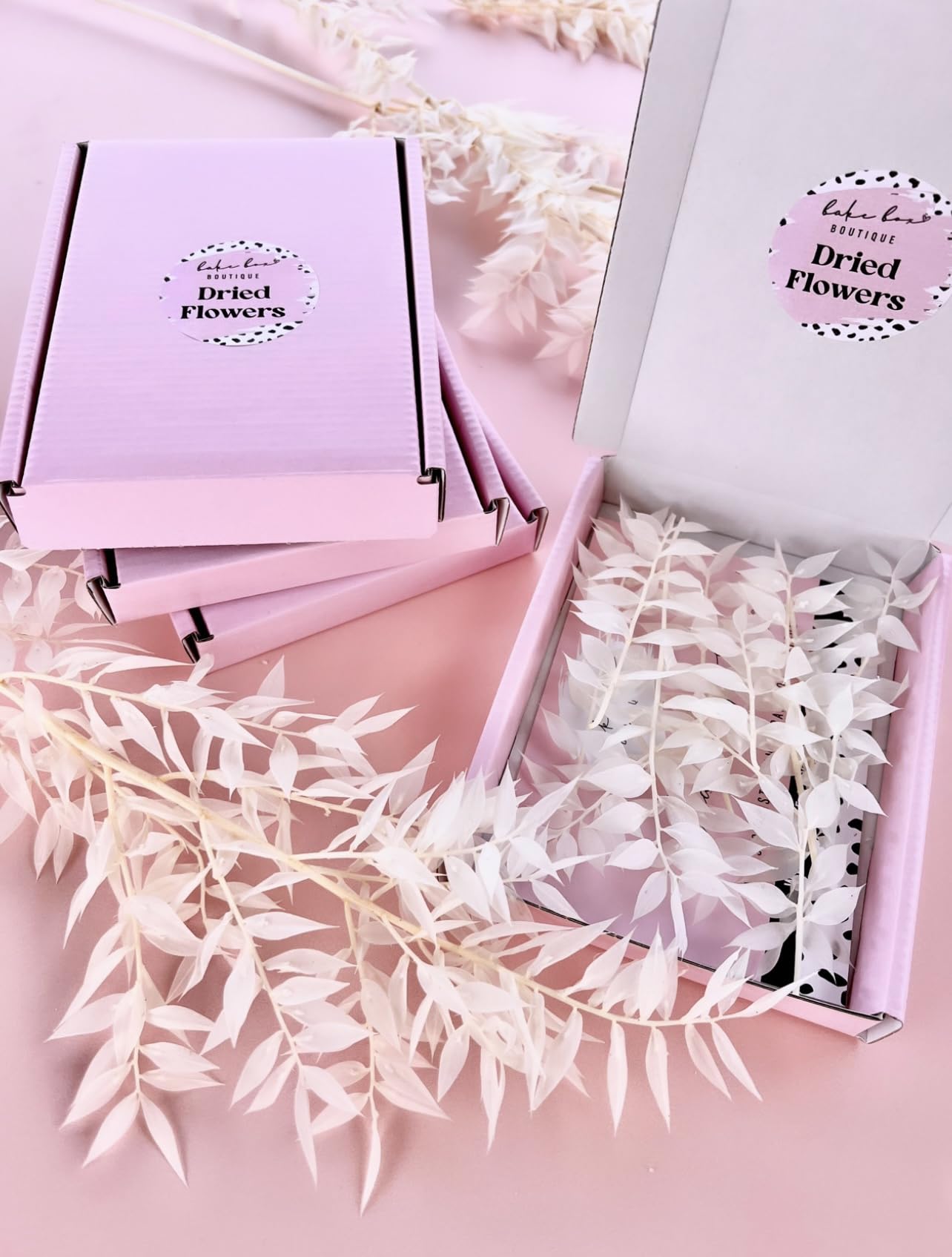 Dried Flowers Ruscus for cakes and crafts decoration gold white pink leaves cupcake bento cake sheet cake RUSCUS MASTER (WHITE RUSCUS)