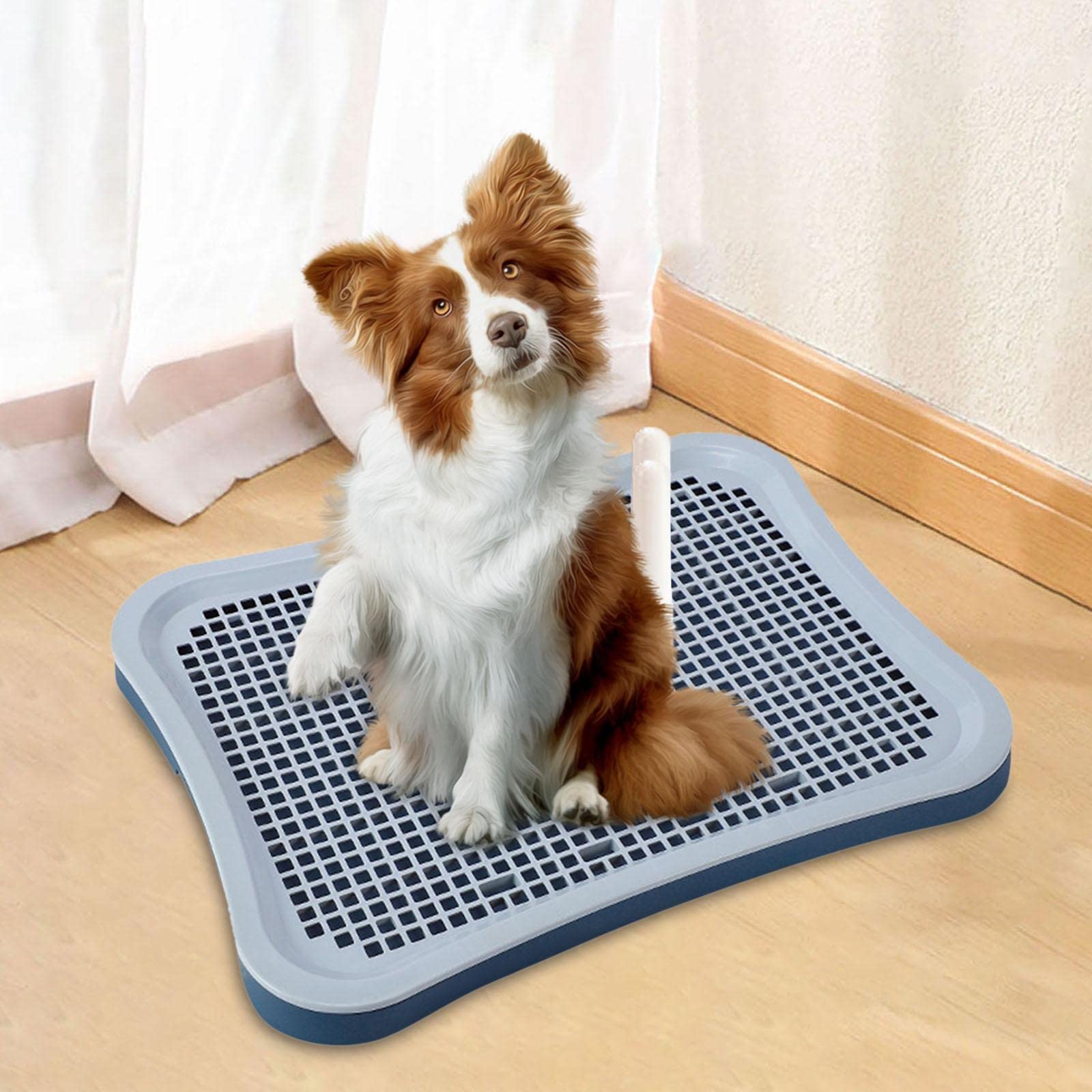 Sharplace Haustier-Katzen-Trainingstoiletten-Tablett, Töpfchen-Trainer, leicht zu reinigen, Katzenstreu, Bettkasten, Urinal, Hunde-Töpfchen-Tablett, PIPI-Pad, Cyan