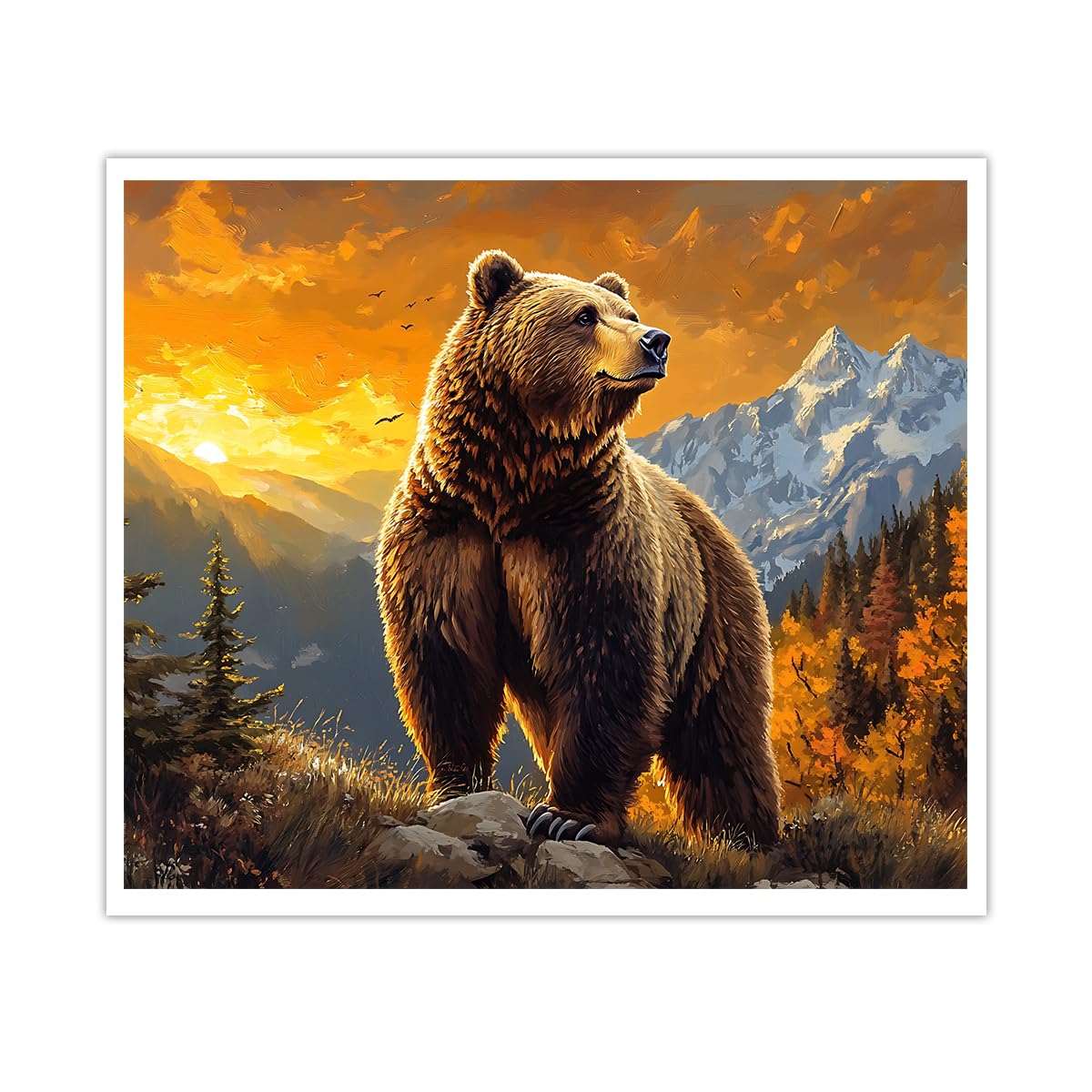 Poster ours brun et forêt rustique 40x50cm sans cadre - 8