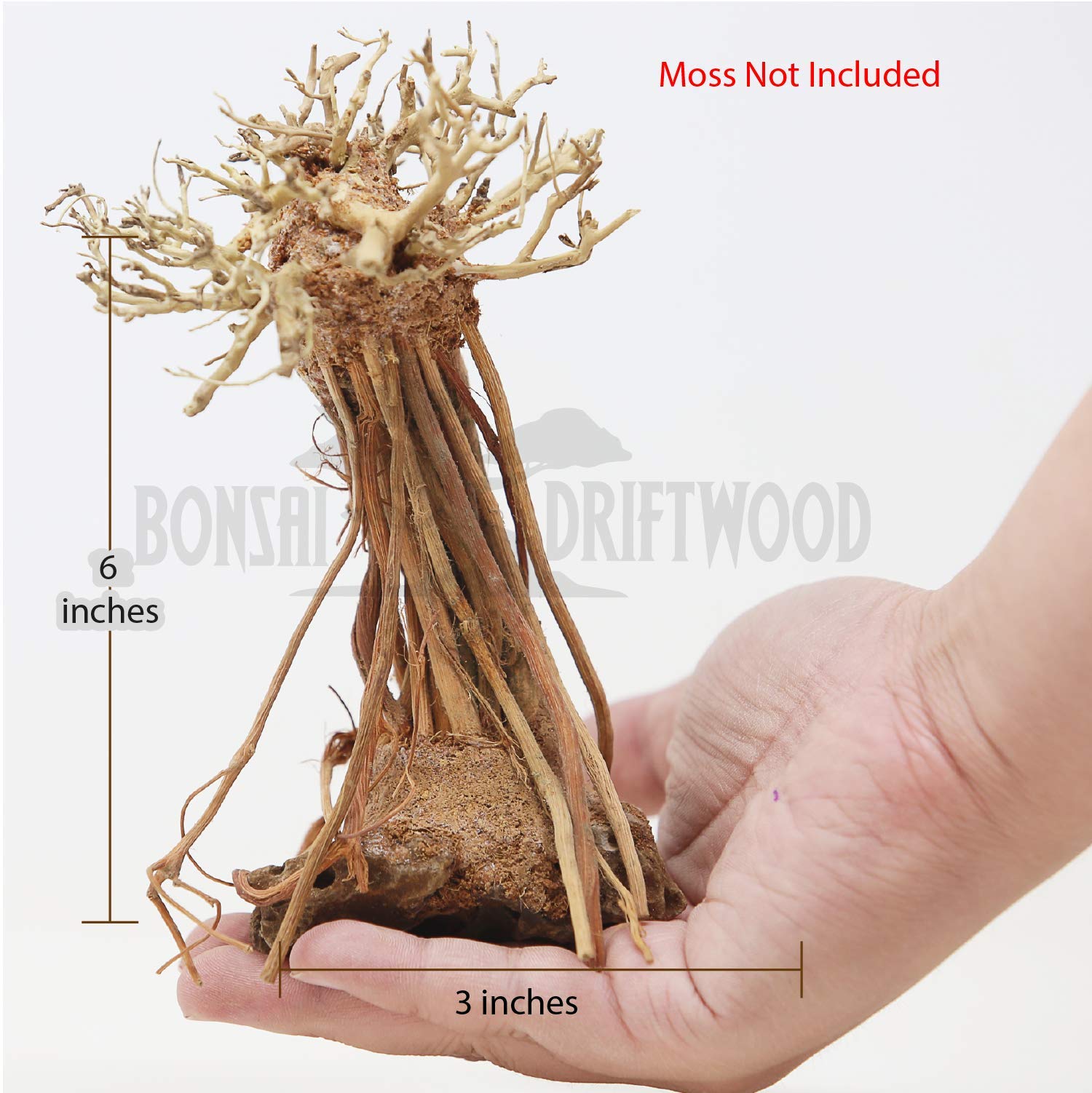 Bonsai Driftwood Mini Aquarium Tree on Rock RM (6 Inch Height) Natural, Handcrafted Fish Tank Decoration | Easy to Install
