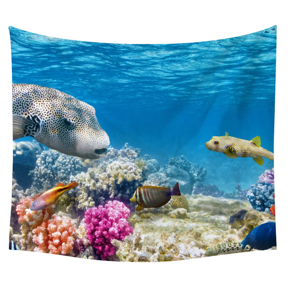 Amazon.co.jp: [KMBIGNK] 海底柄のタペストリー 海底動物 イルカ 雑魚 