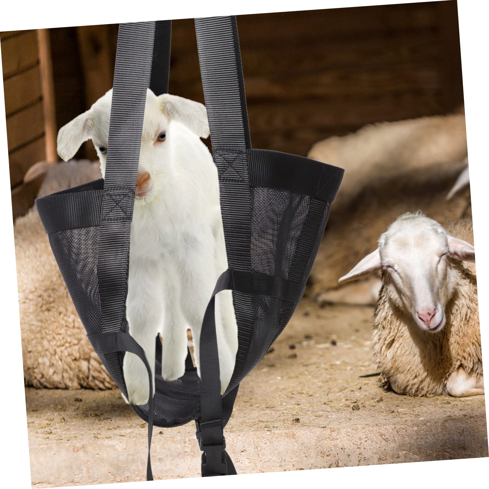 BESPORTBLE Imbracatura Per Pesare Bestiame Rete Per Pesare Bovini e Vitelli Animali Domestici Realizzata in Nylon Durevole e Sicuro Impedisce Agli Animali Di Muoversi Durante La Pesatura