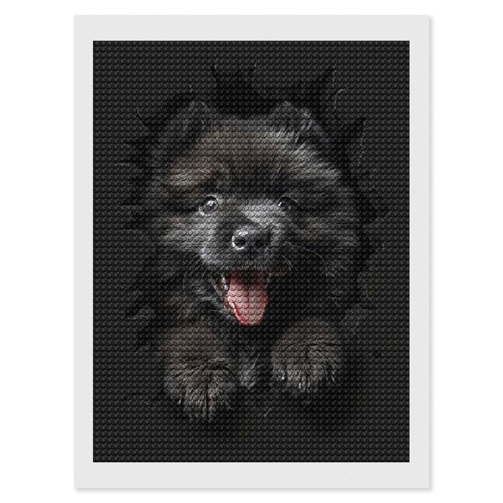 Junmoney Keeshond Diamond Painting Canvas Kit 12"x16", Relaxing DIY, Modern Decor, Aesthetic Room Decor, Home Wall Art, Wall Art Gift