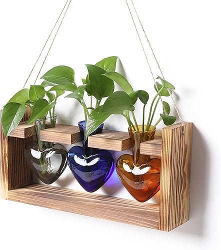 Miniatura 10 de Estaciones de propagación de terrarios de plantas Faith Hope Love hidroponía decoración de jardín doméstico regalo para mujeres con soporte de Verde