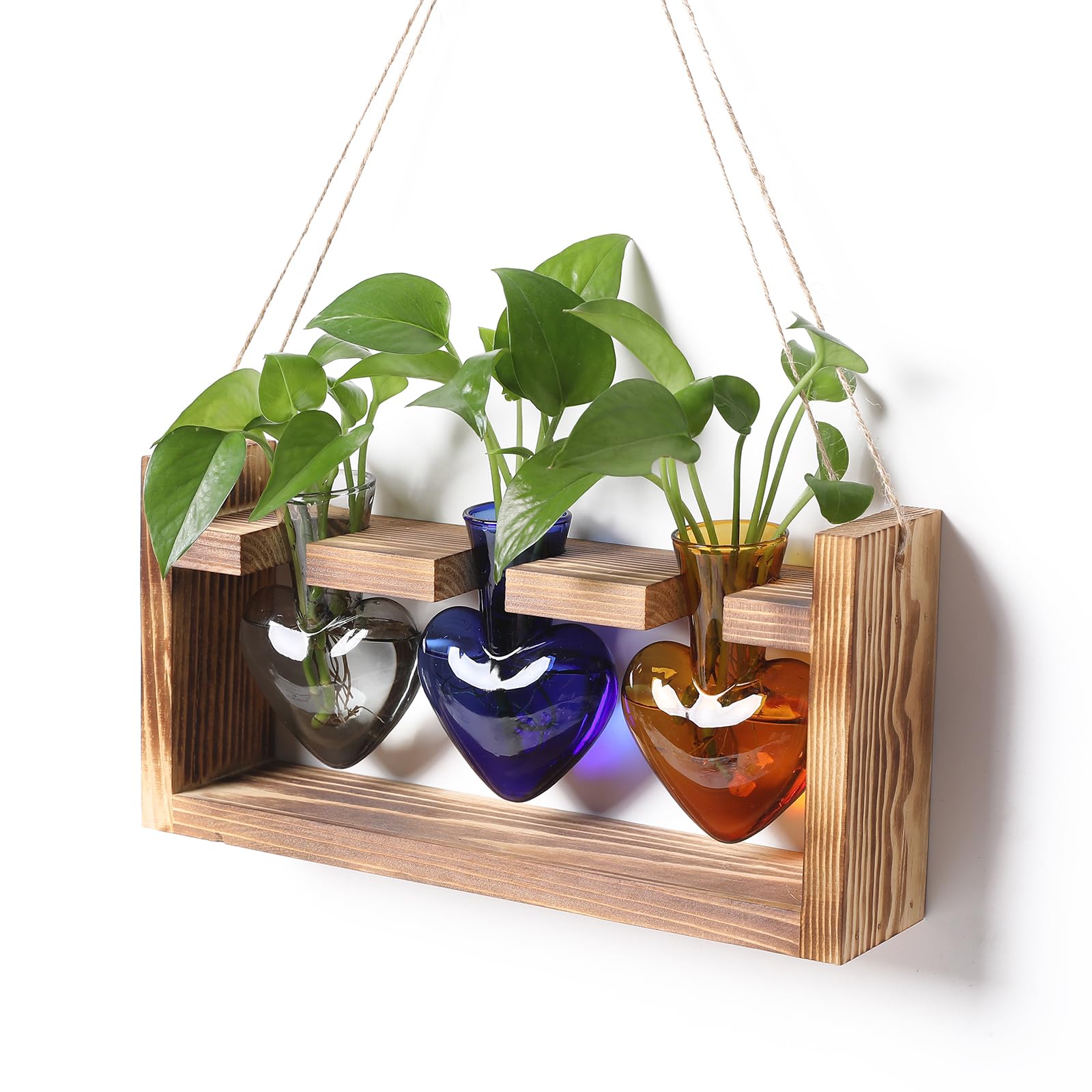 Plant Terrarium Unique Birthday Gift for Women Wall Planters for Indoor Hydroponic Plant Propagation Stations Heart Shaped Glass Vase with Wooden Stand