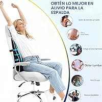 Vista 5 de Niceeday Almohada de Apoyo Lumbar para Silla de Oficina, Almohada de Apoyo para la Espalda del Automóvil, Cojín de Espuma Viscoelástica para Silla