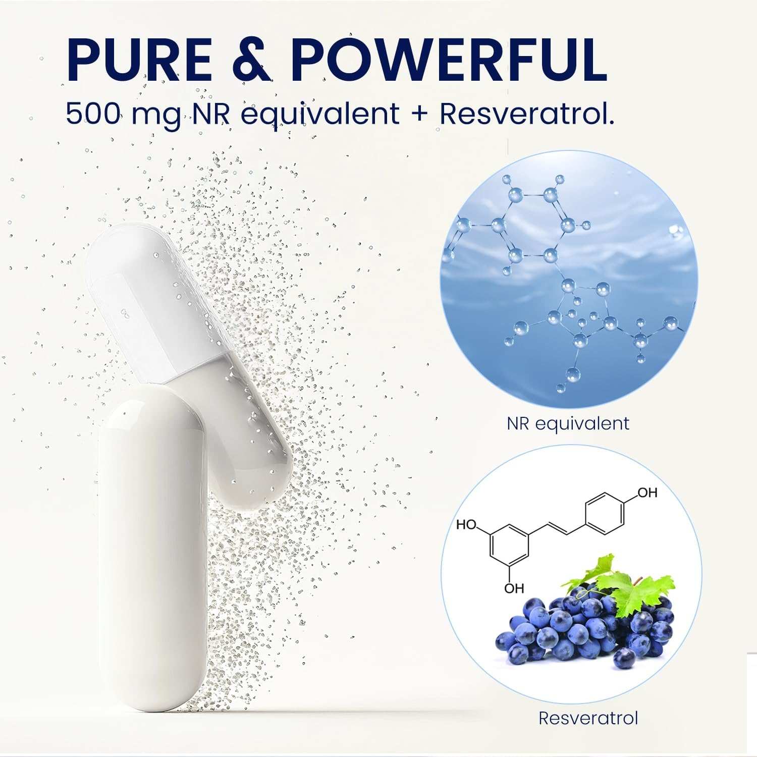 Liposomal Nicotinamide Riboside & Resveratrol Supplement ‒ Support for Cellular Energy, Mitochondrial Health, Healthy Aging & Cognitive Function