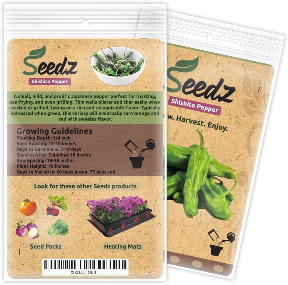 Bundle and Save! - Organic Shishito Pepper Seeds, APPR. 55, Organic Cherokee Purple Beefsteak Tomato, APPR. 100, Heirloom Vegetable Seeds, Certified Organic, Non GMO, Non Hybrid, USA image 2