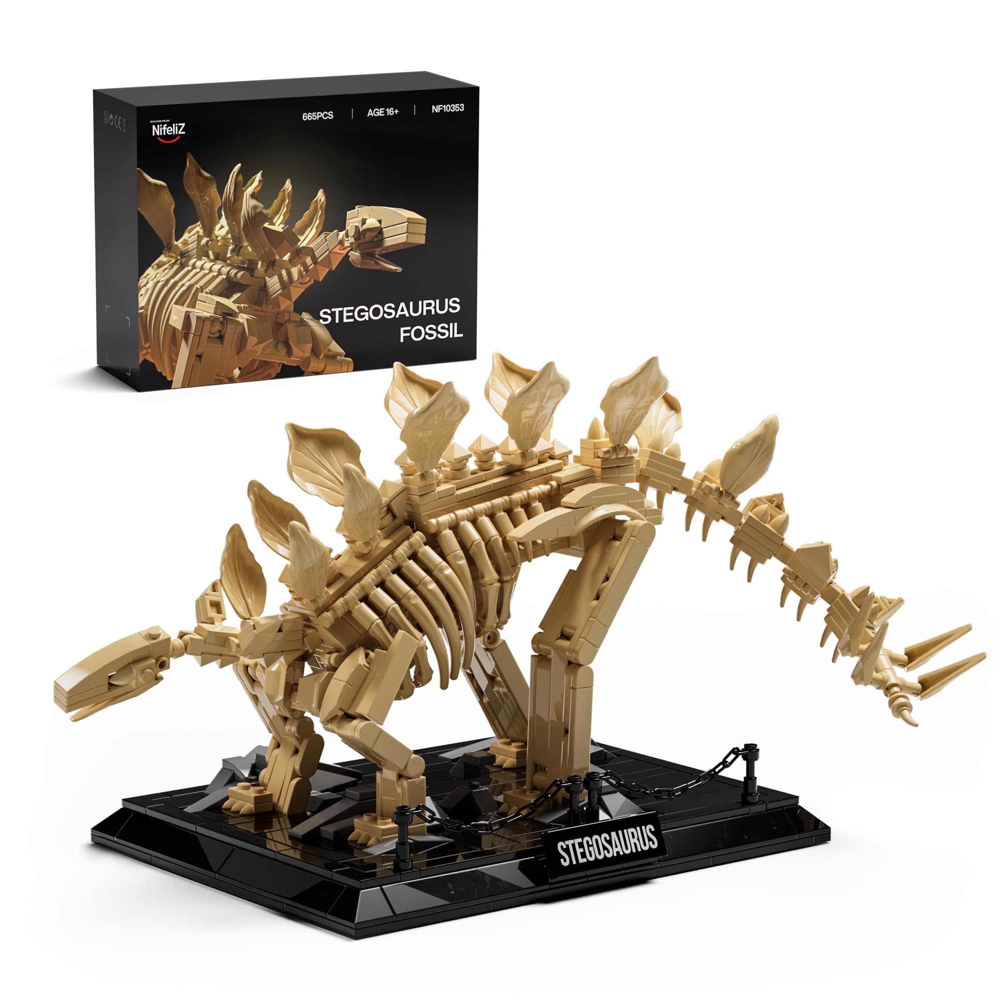 Amazon.com: Nifeliz Stegosaurus Fossils Model Set, Dinosaur