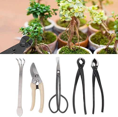 Miniatura 3 de Nachukan Juego de herramientas de bonsái de 5 piezas con tijeras de podar de acero al carbono, cortador de ramas, tijeras, rastrillo y alicates, kit
