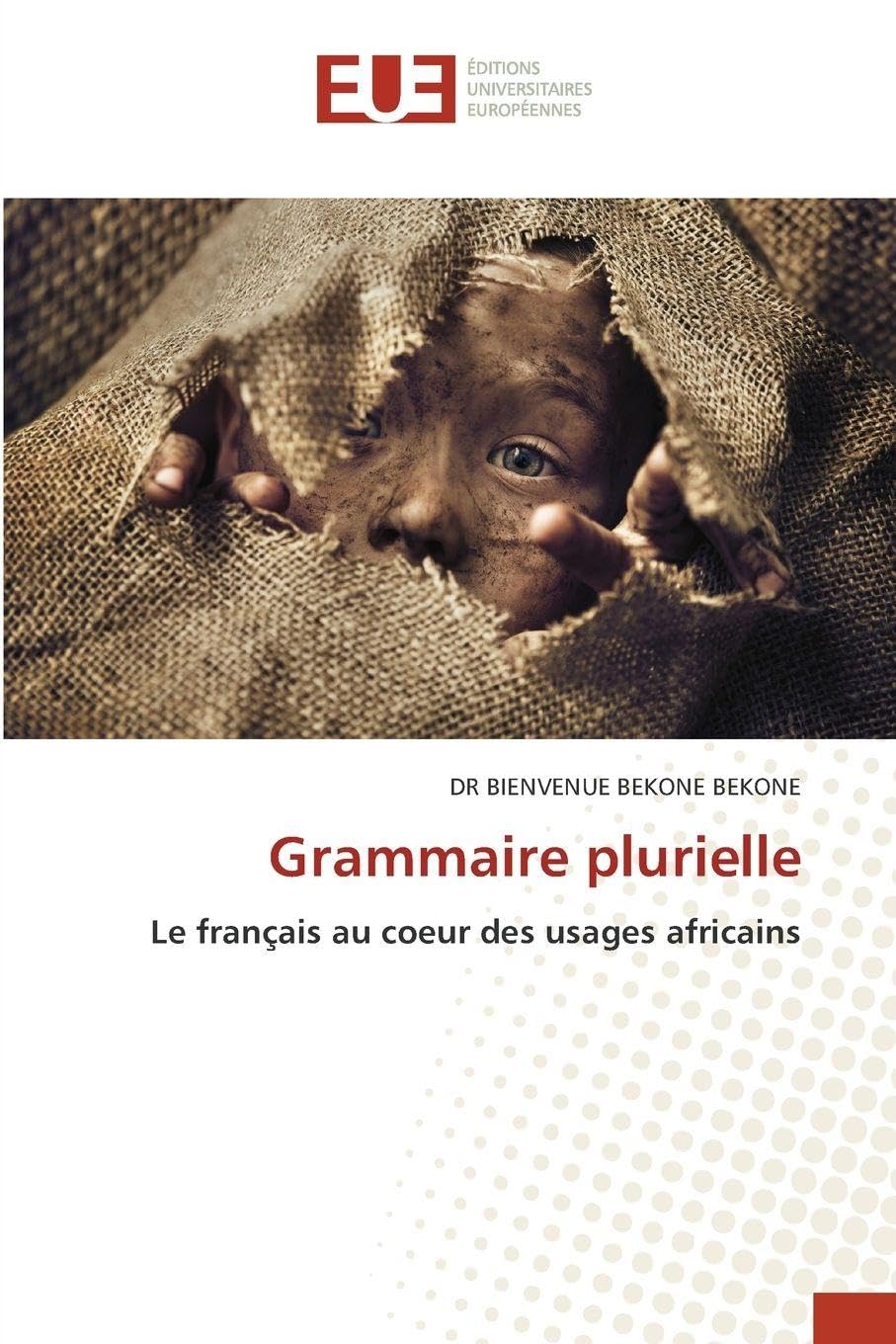 Grammaire plurielle: Le français au coeur des usages africains