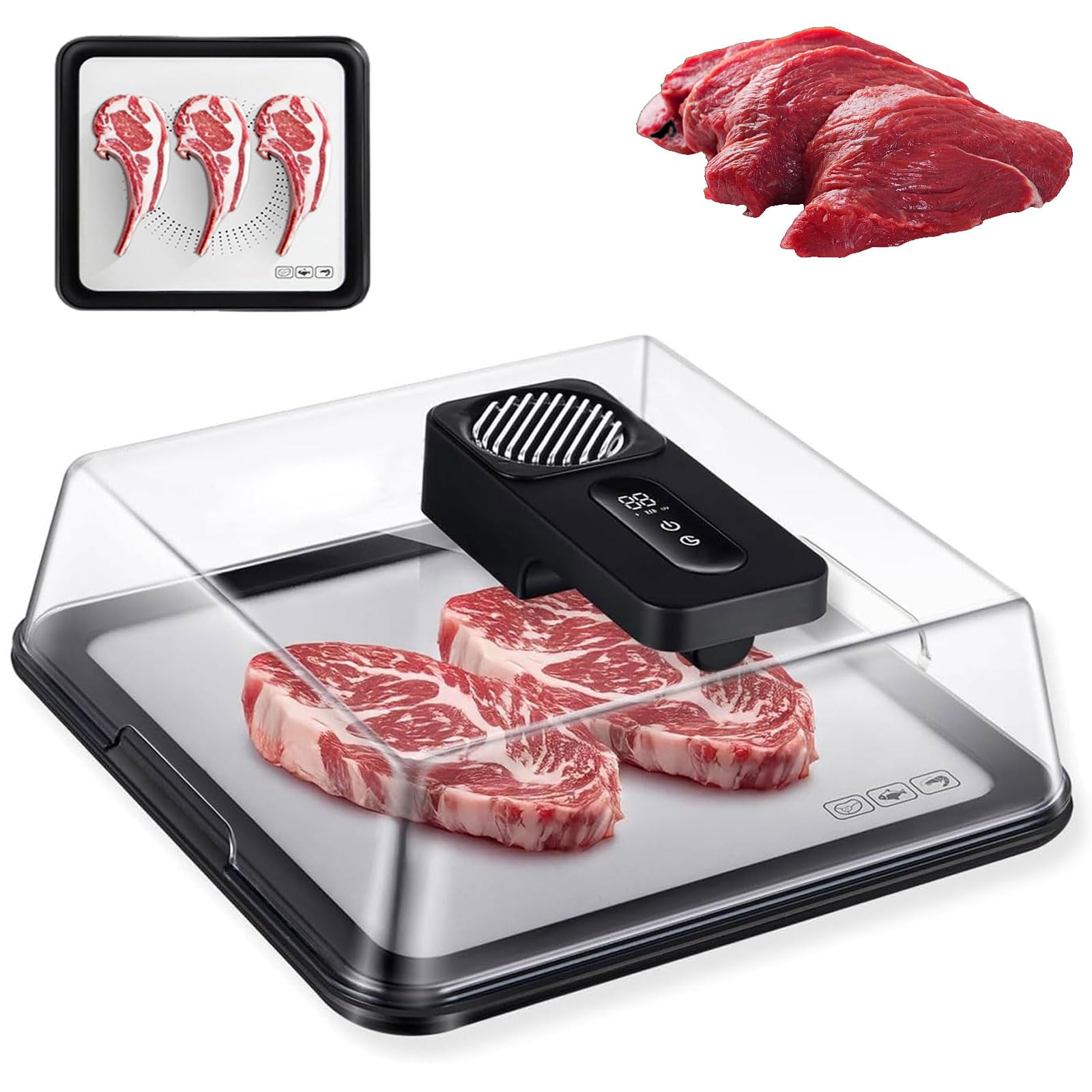 FHRKA Rechargeable Meat Defrosting Tray 4.2L, Electric Food Defrosting Box with Airflow Technology & Visual Lid, 10-Minute Quick Thawing