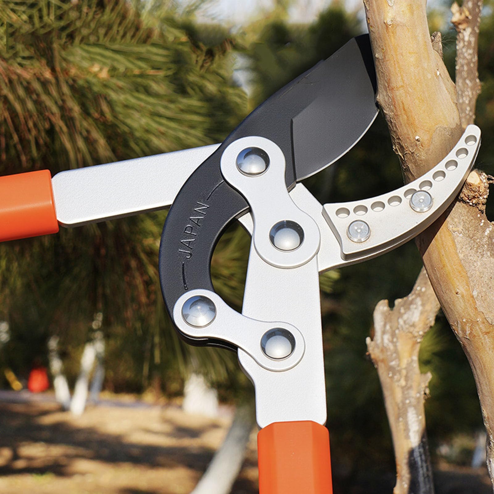 Tree Loppers | Adjustable Length Bypass Loppers | Cutter Tools with Long Handle Pruner for Flower Shrub Landscaping Vine Topiary Bonsai Lawn Hedge Indoor Outdoor