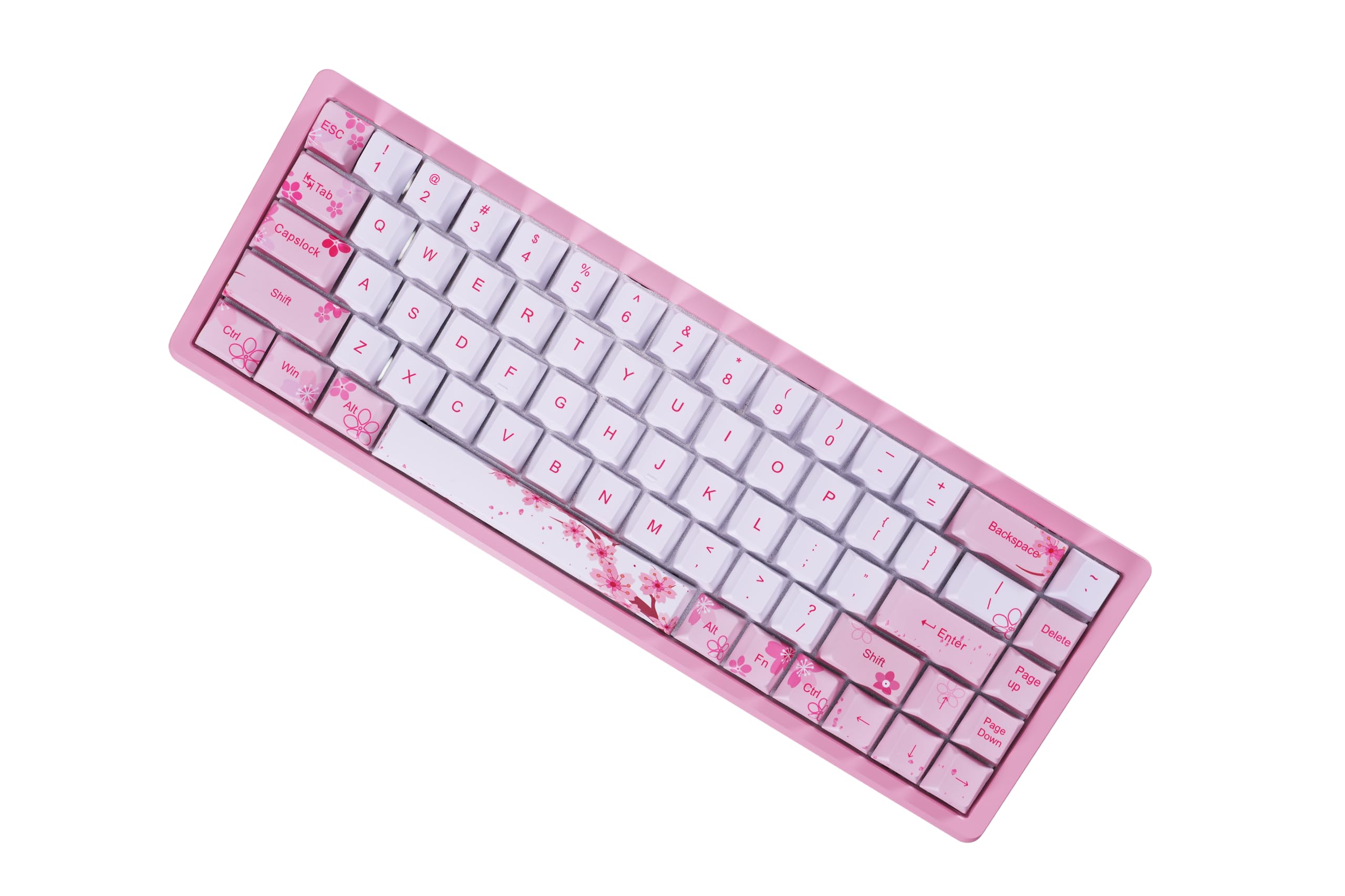 Amazon.com: EverGlide AE68 Pro Sakura Aluminum Case, Rapid Trigger