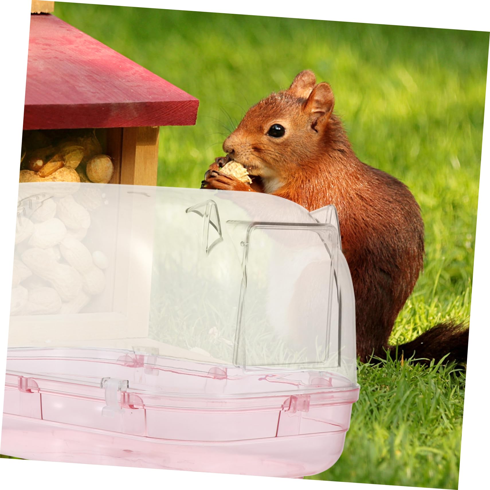 Hamster Sandbadbehälter aus Kunststoff, Große Badewanne