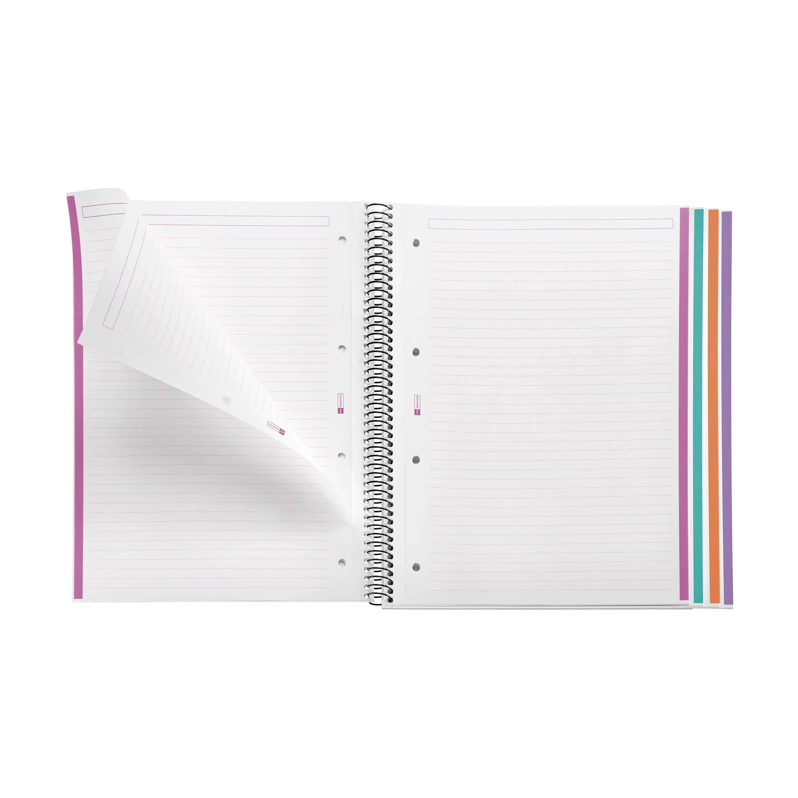 Miquelrius, Notebook A4 (210 x 297 mm), Horizontal Stripes 7 mm, 120 Sheets of 70 g/m², Cardboard Cover, 4 Colour Stripes - Image 3