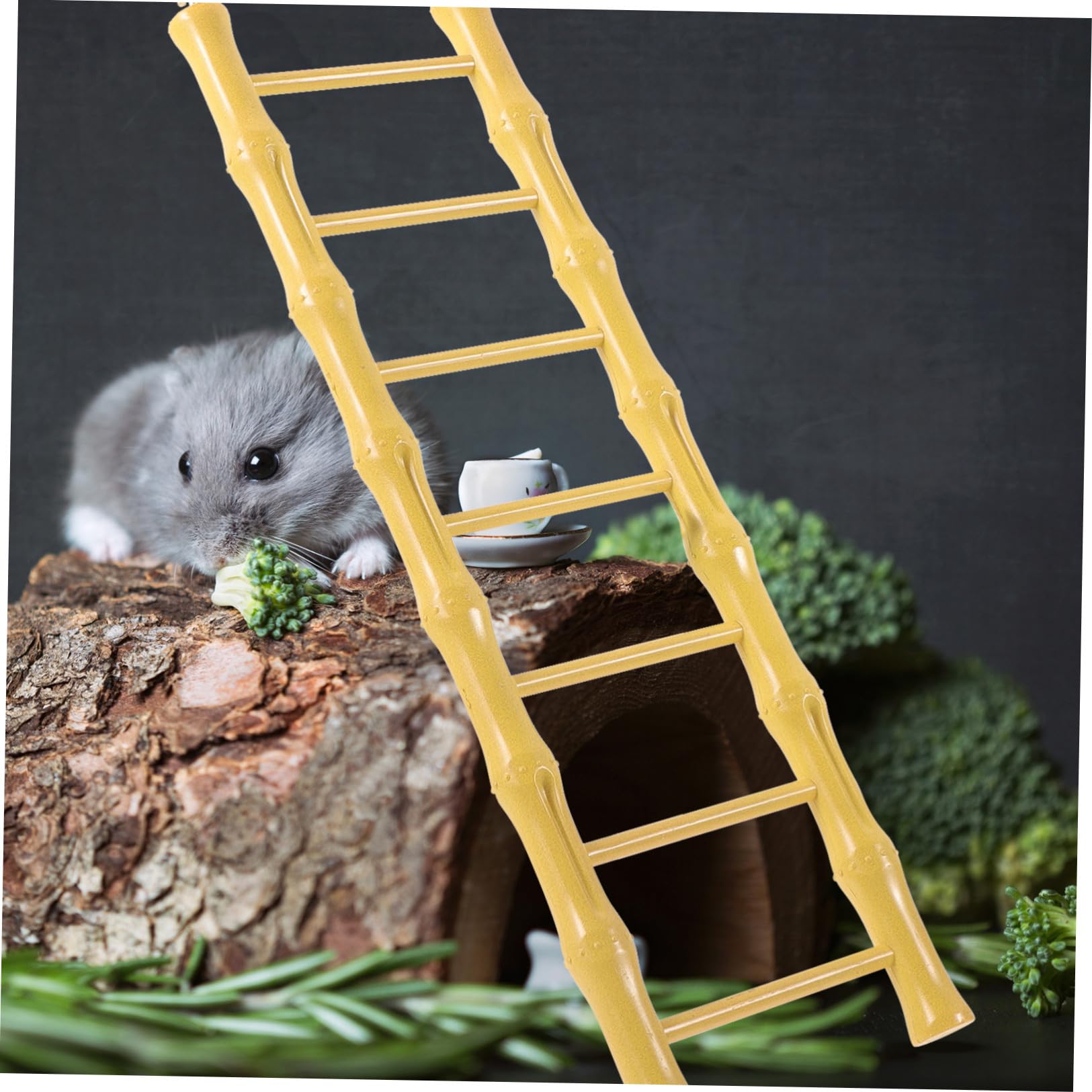 Toddmomy 3pièces Échelle De Grimper pour Hamster Et Perruche Jouet Accessoire De Cage pour Animaux De Compagnie