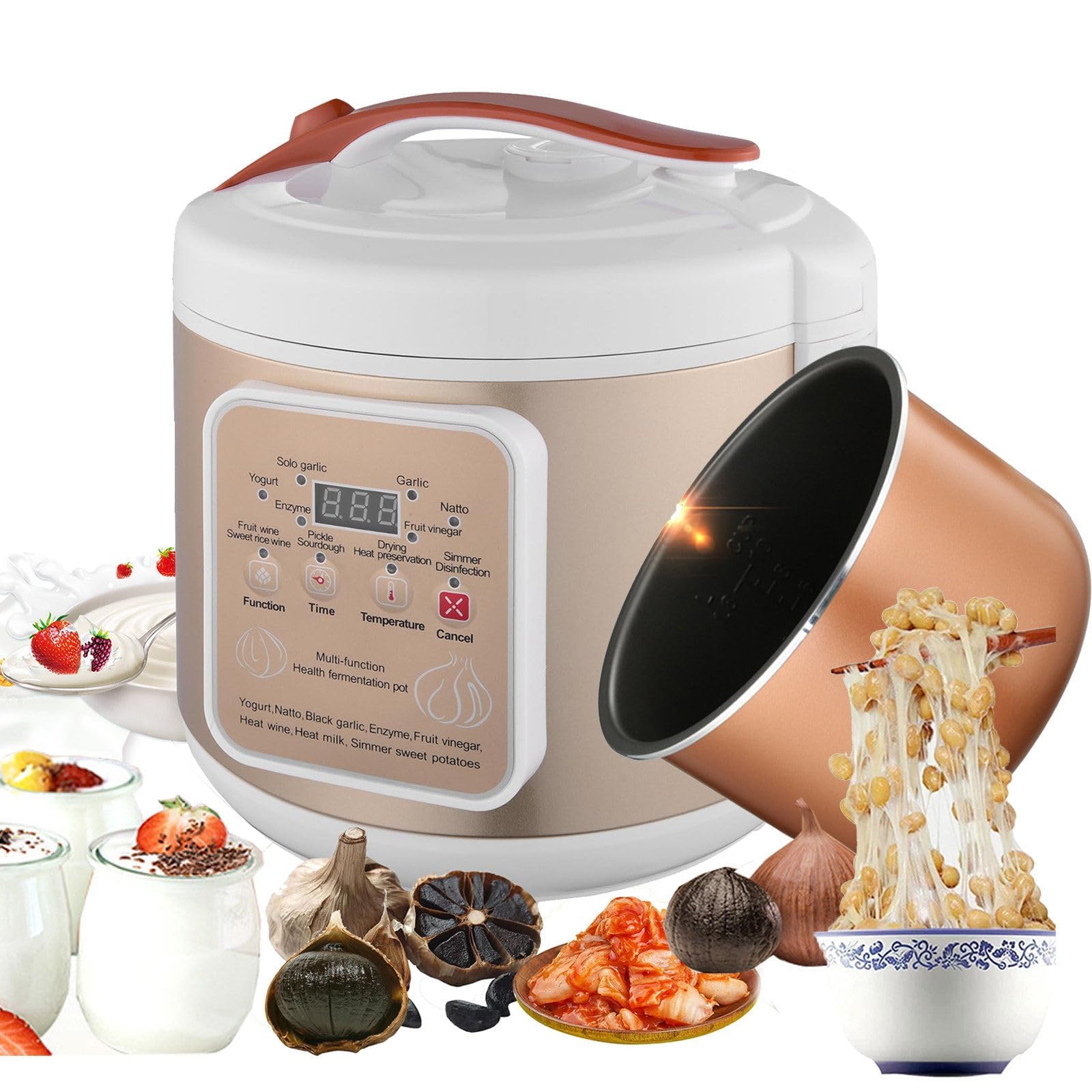 Fermenteur d'ail noir à fermentation rapide et boîte intelligente 6L