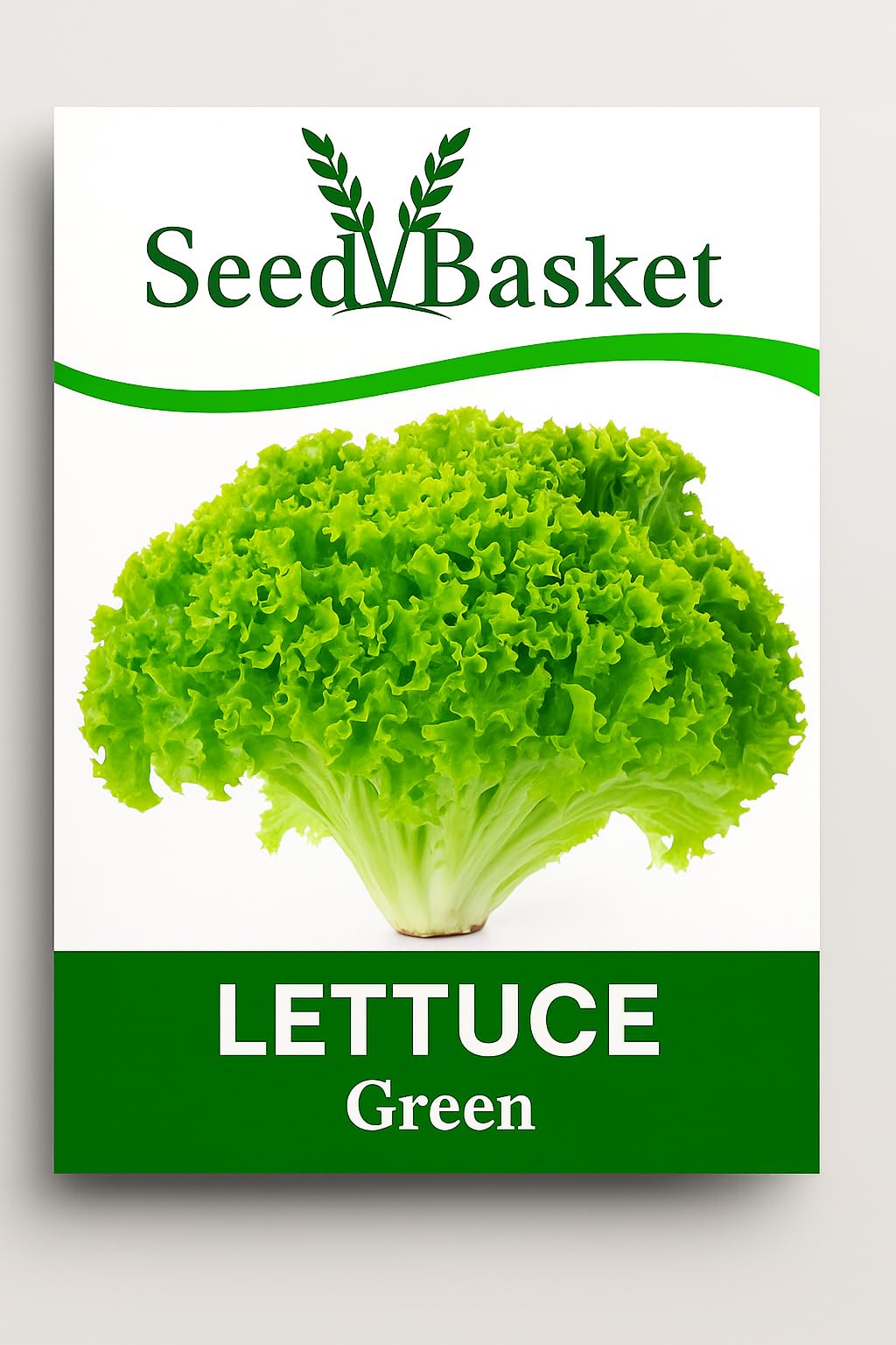 SeedBasket Lettuce Seeds Pack of 2 – Green & Red Varieties | Fresh Garden Leafy Vegetable Seeds for Home Gardening, Terrace, Balcony & Kitchen Garden | 400 Seeds - Image 3 thumbnail